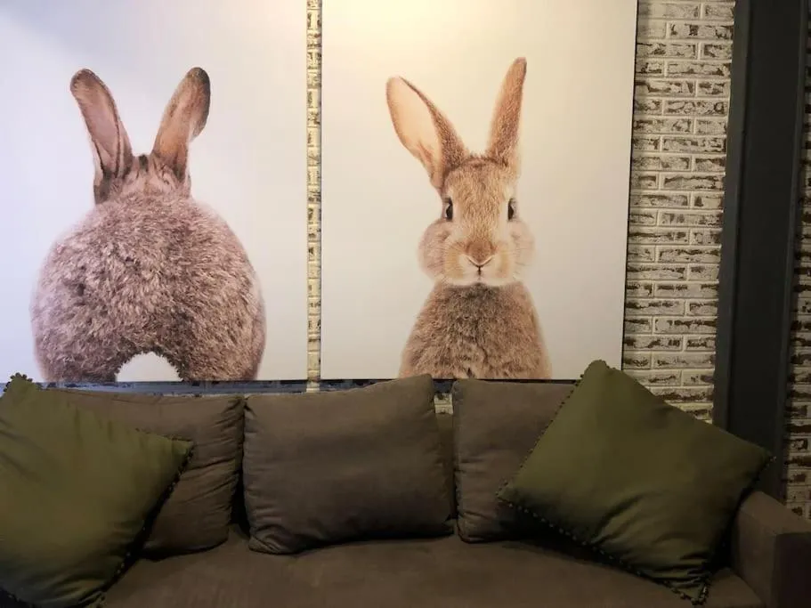 Other Animals in Departamento muy amplio y moderno en la CONDESA