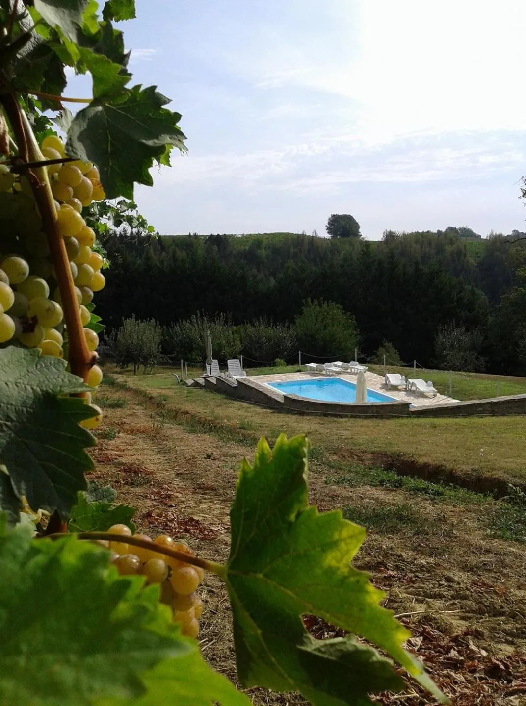 Swimming pool in Cà Du Ruja