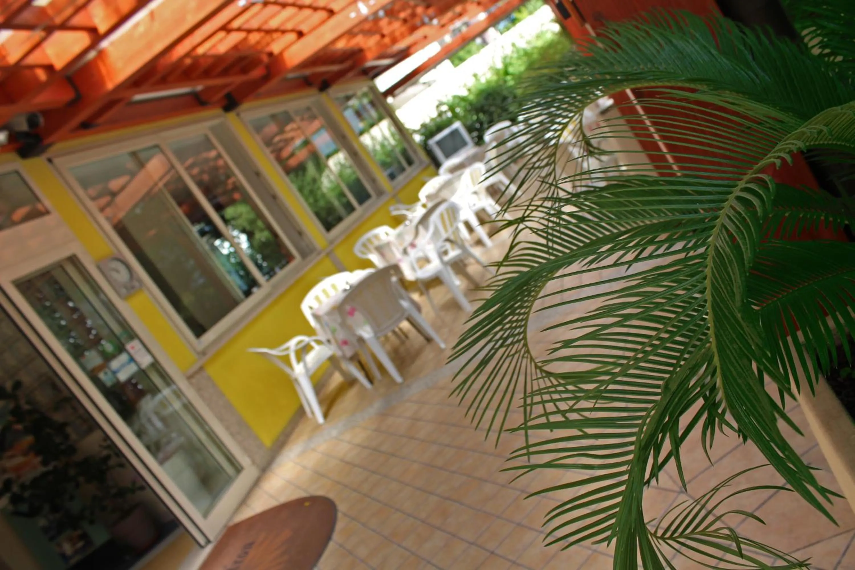 Garden in Hotel Metron