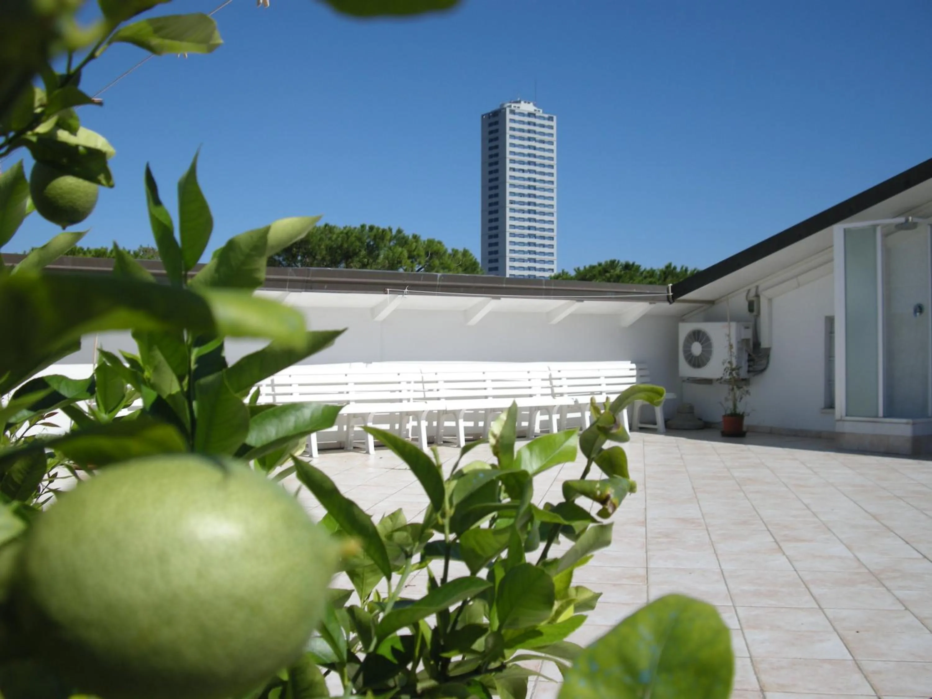 Balcony/Terrace in Hotel Metron