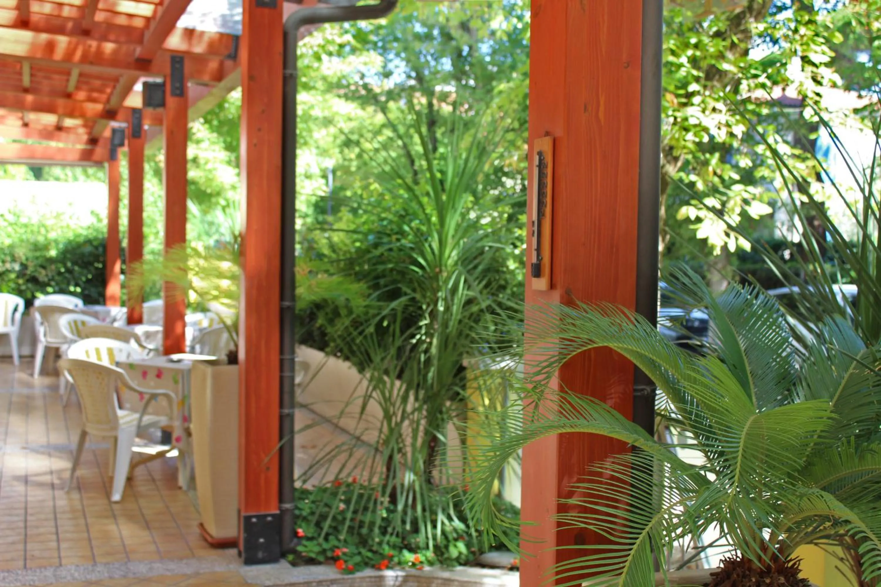 Garden in Hotel Metron