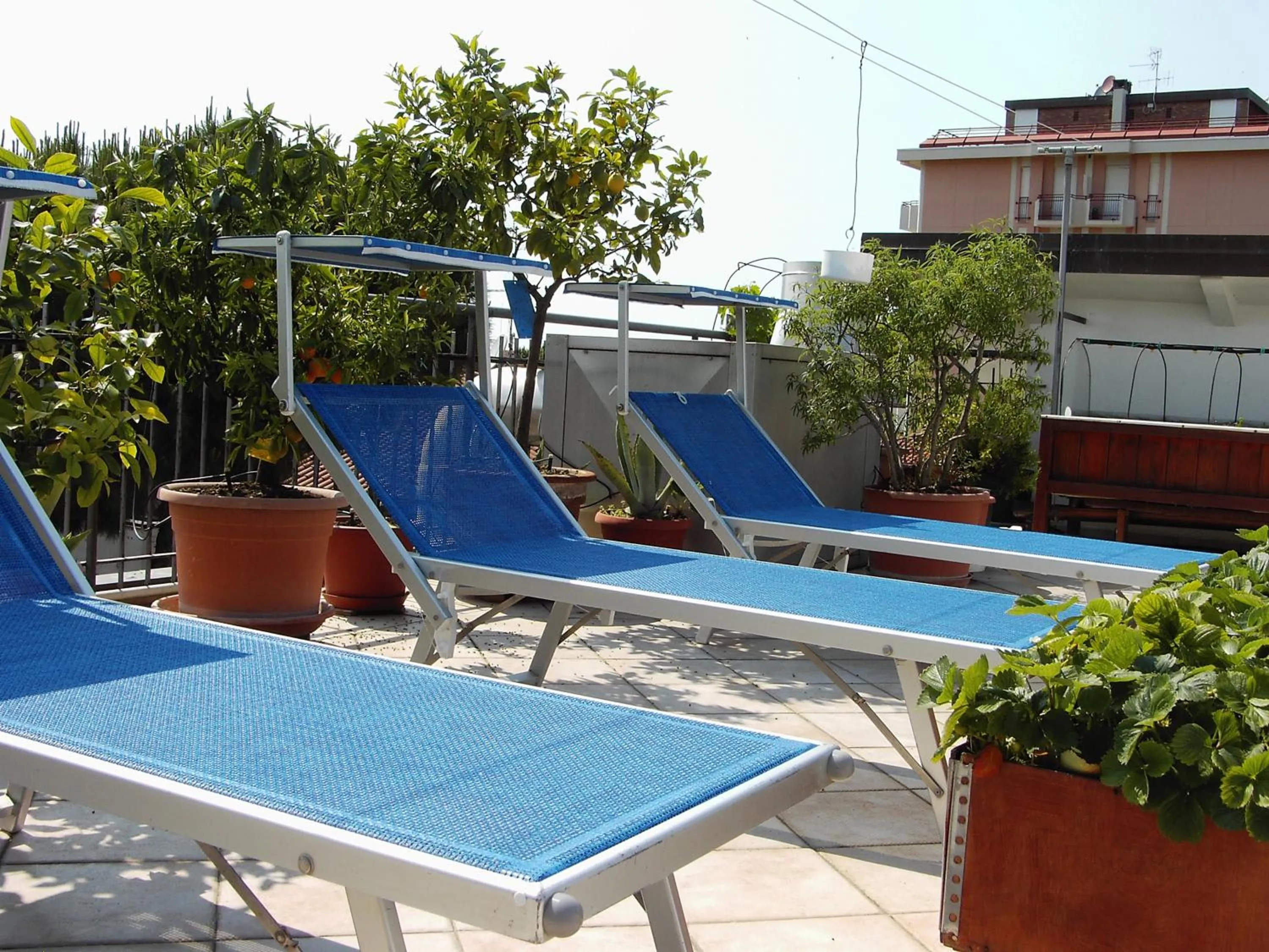 Balcony/Terrace in Hotel Metron