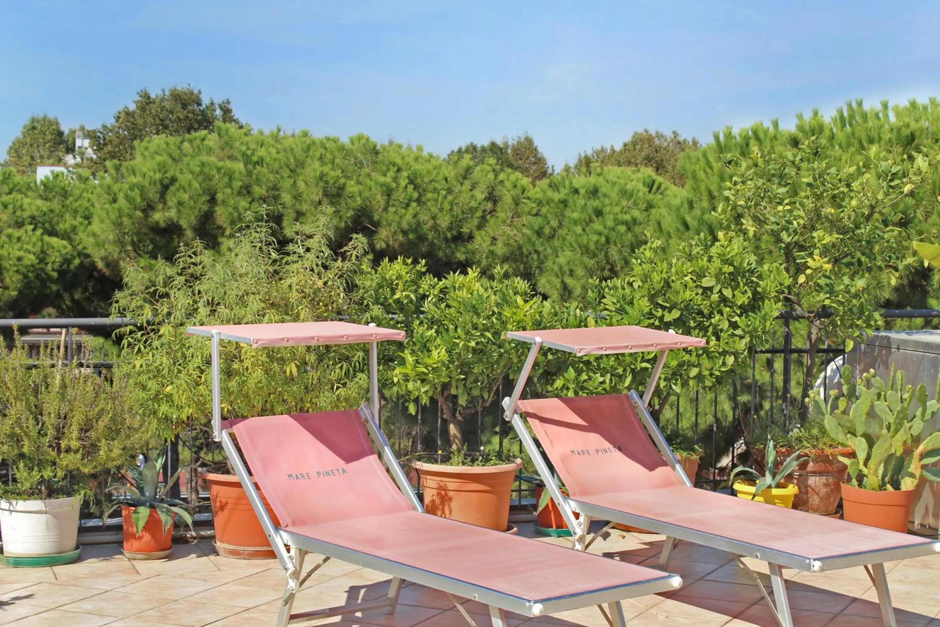 Balcony/Terrace in Hotel Metron