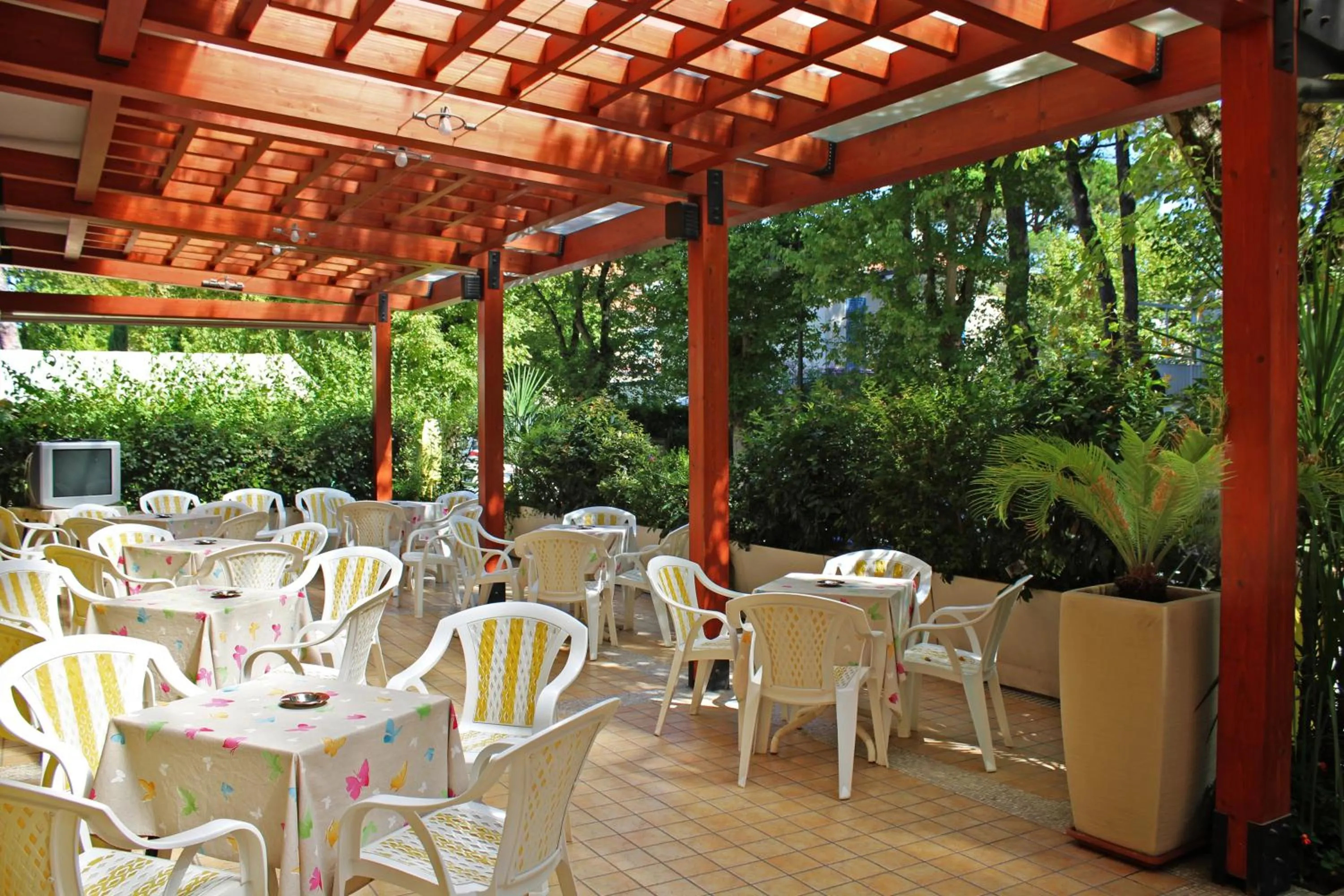 Patio in Hotel Metron