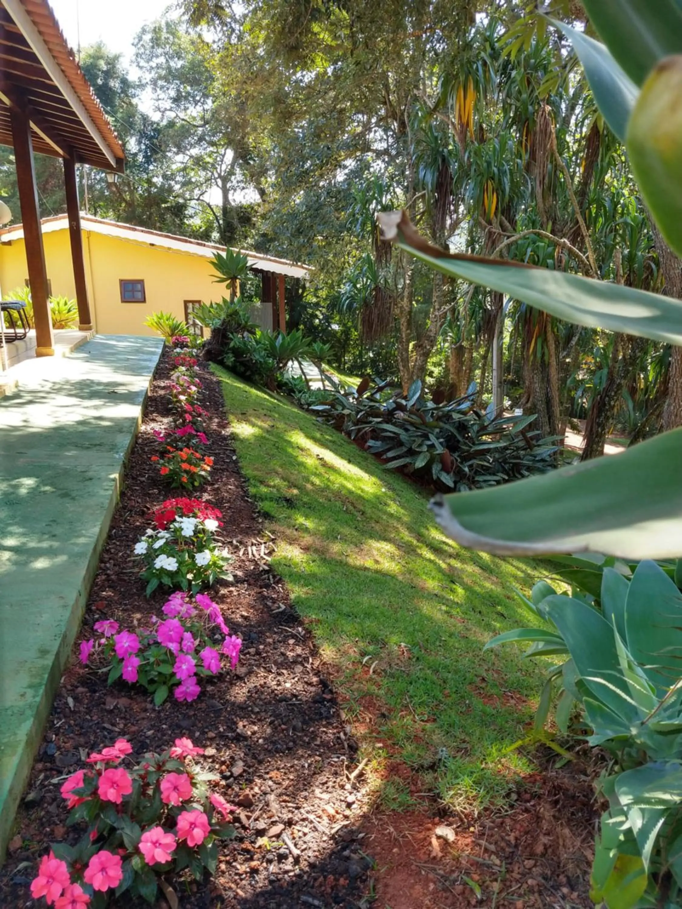 Garden in Pousada Realeza Atibaia