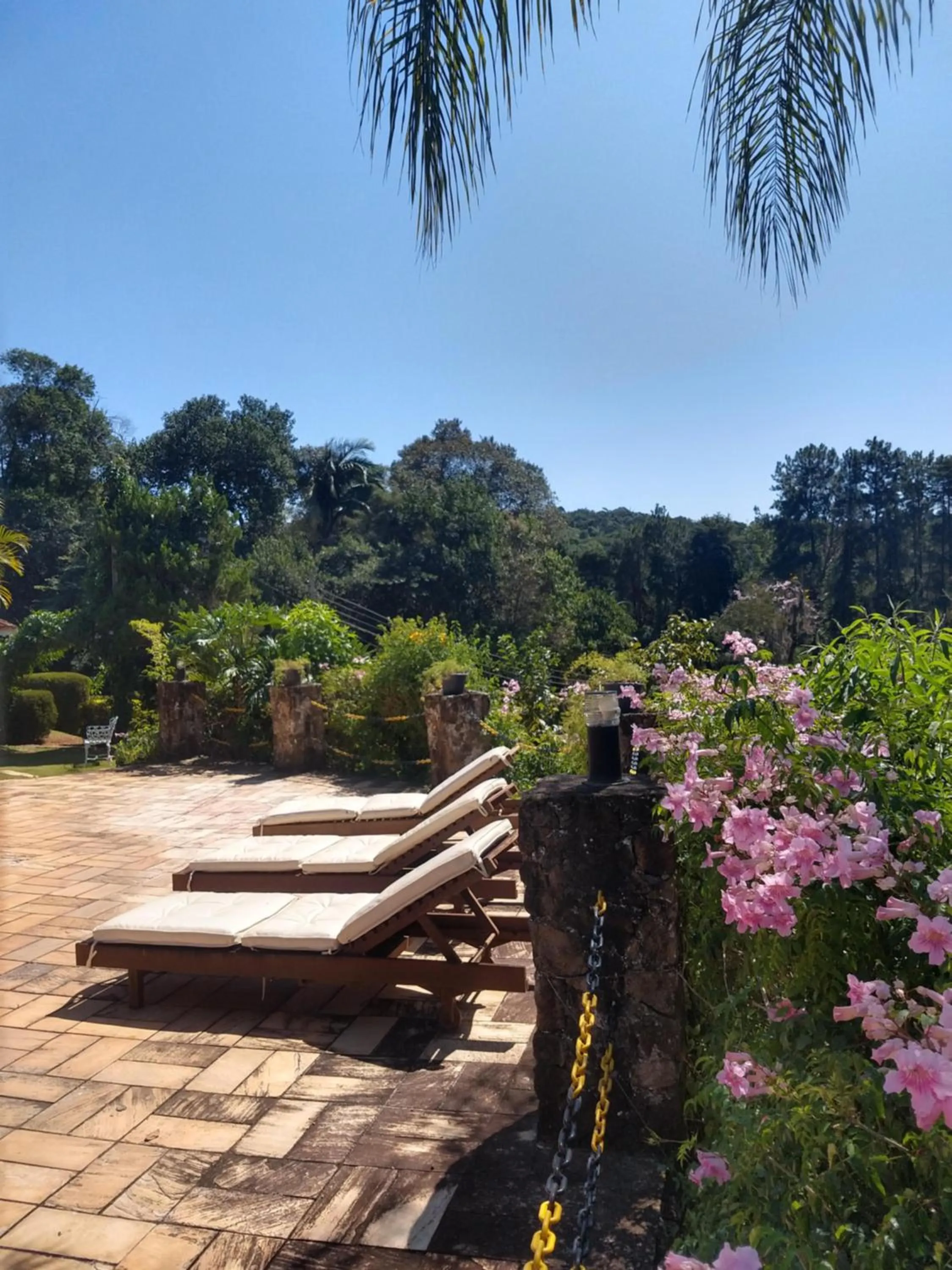 Garden in Pousada Realeza Atibaia