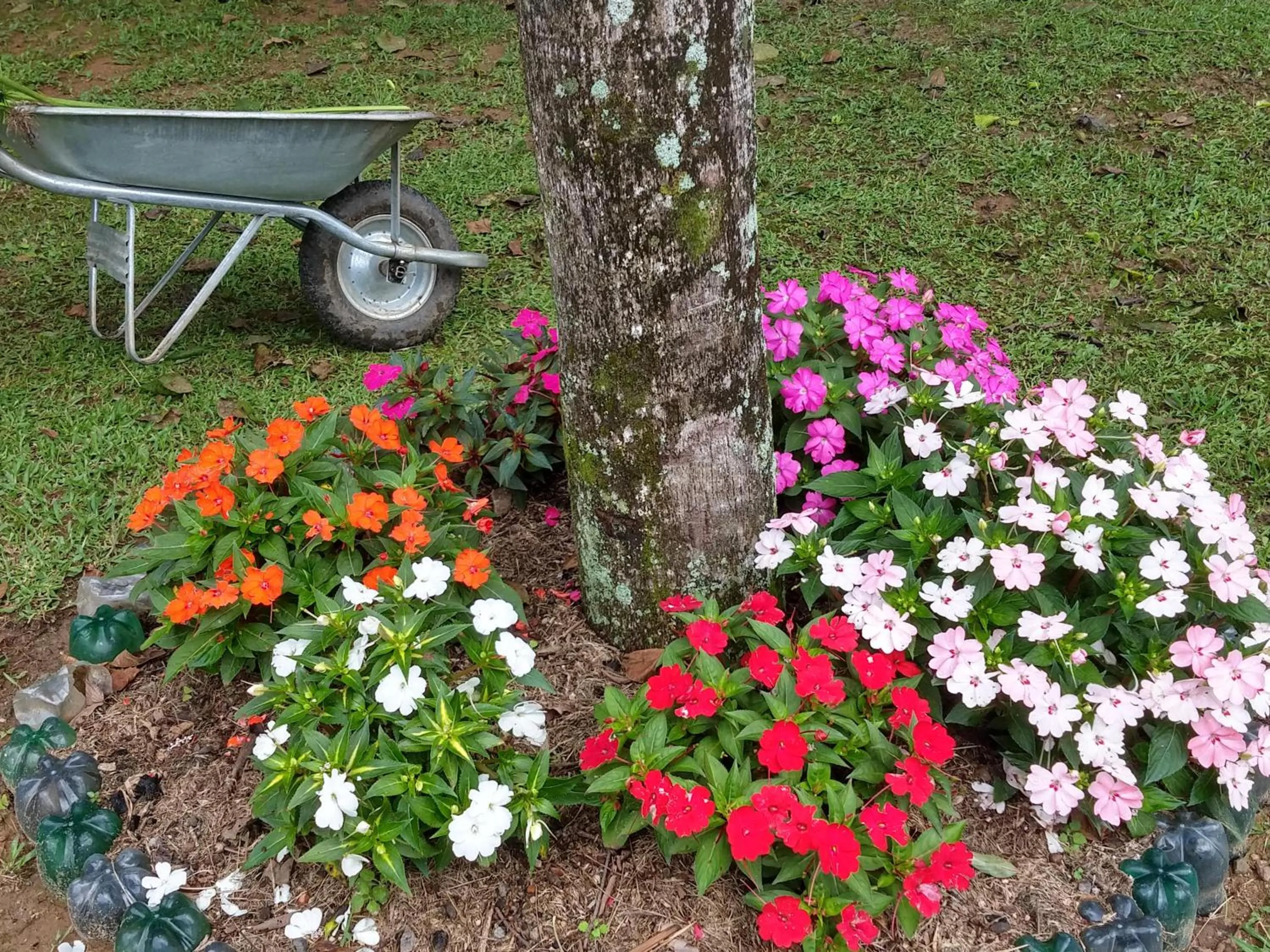 Garden view in Pousada Realeza Atibaia