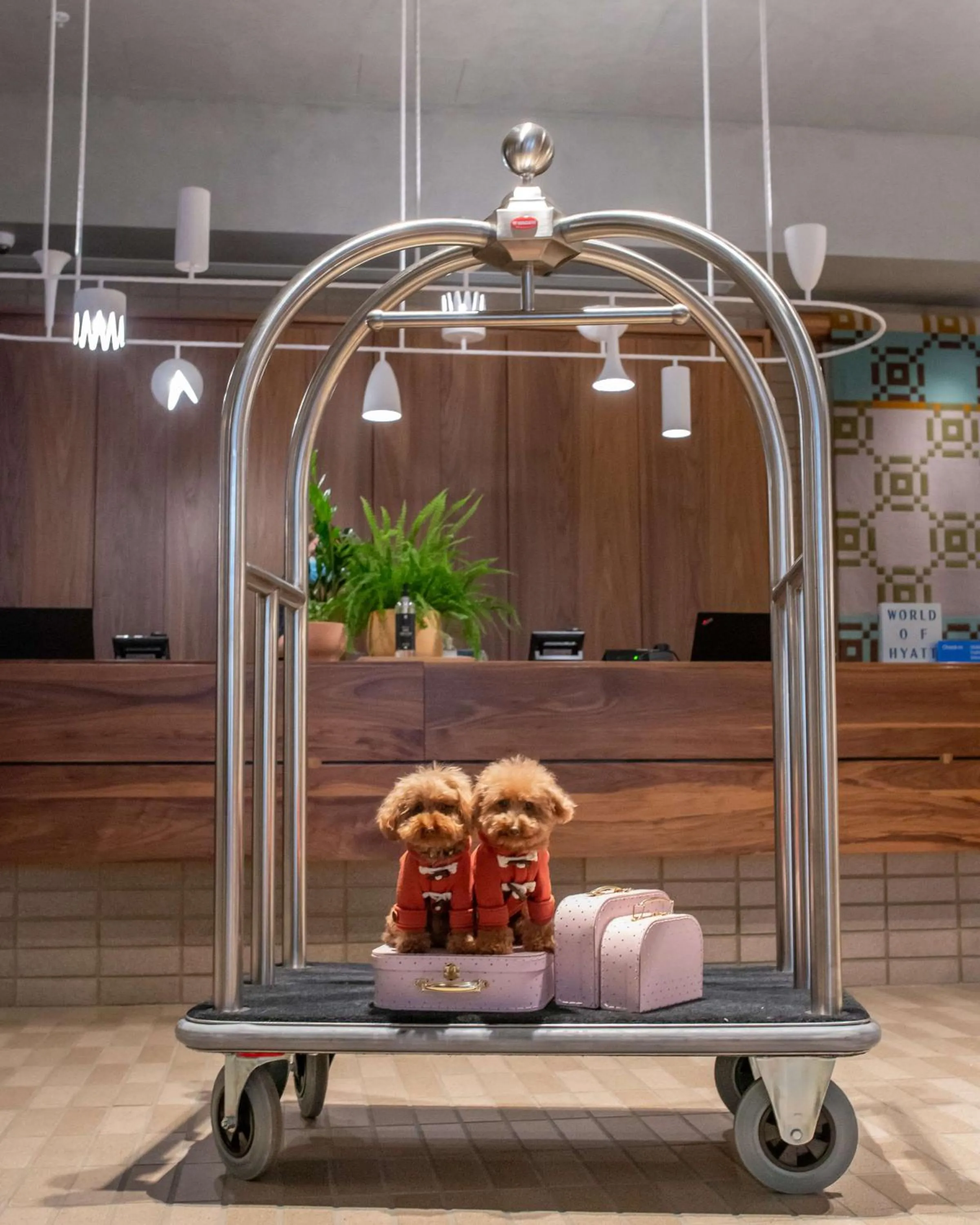 Lobby or reception in Hyatt Centric Melbourne