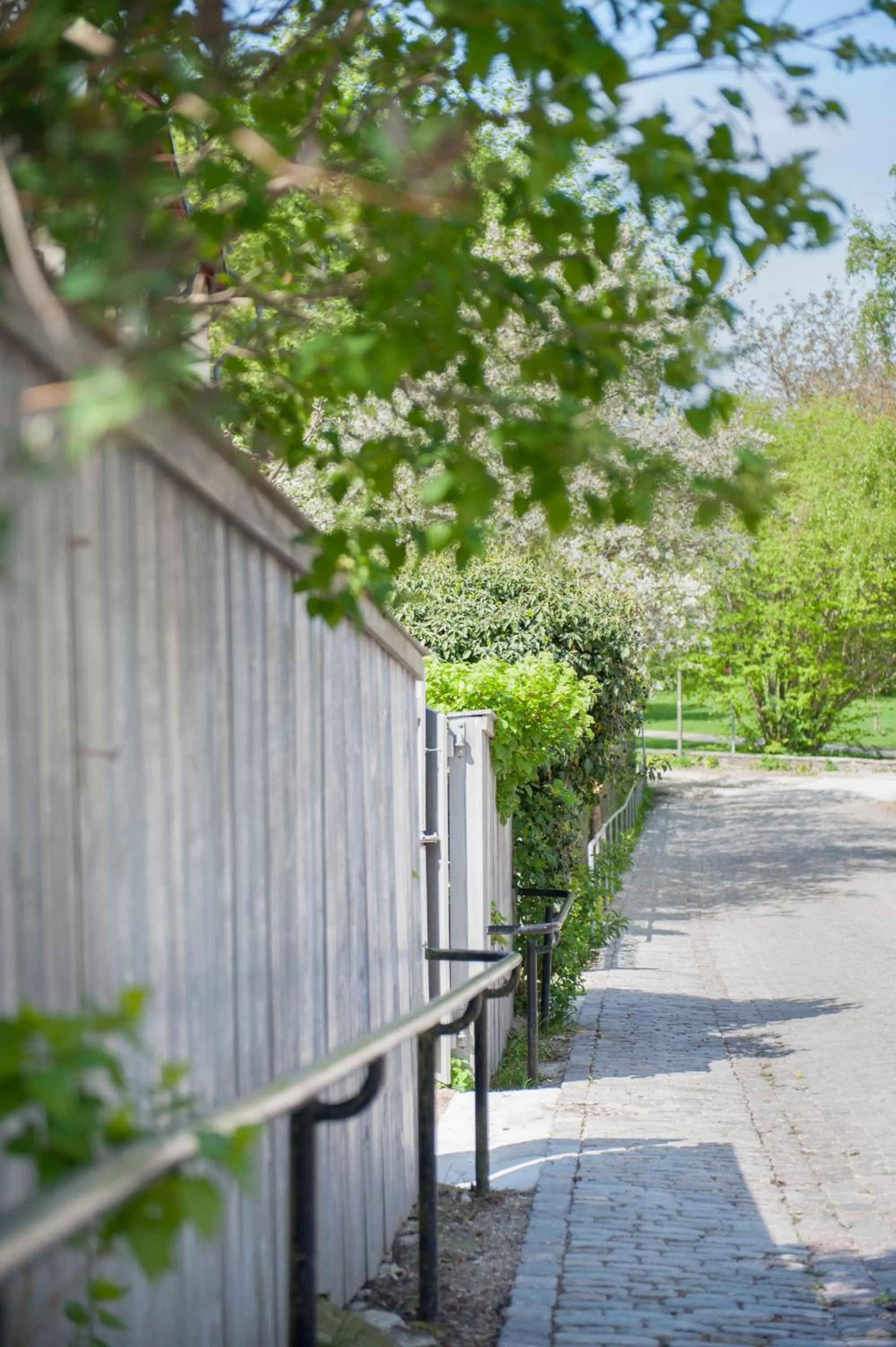 Hiking in Sköna Hönor Apartments