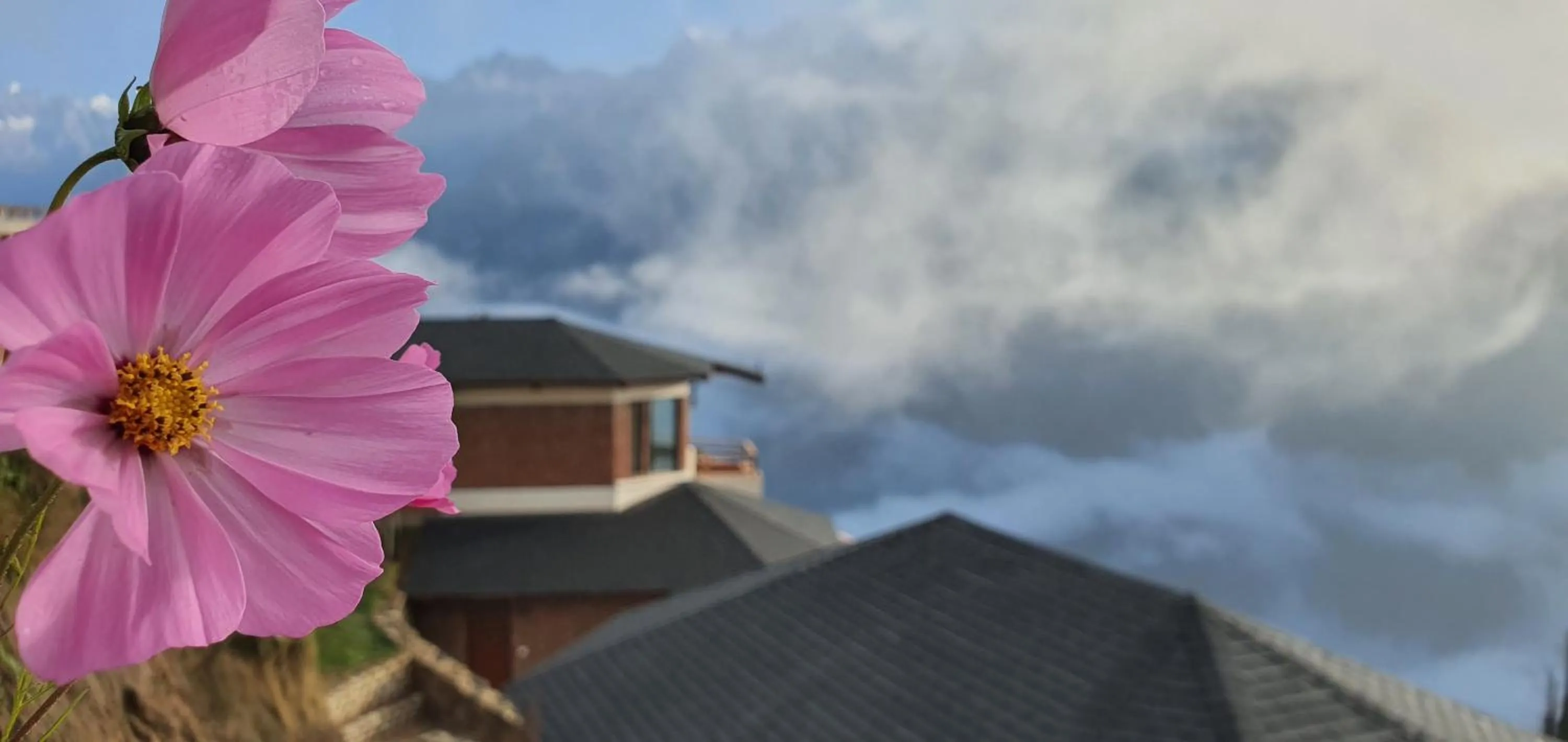 Property building in Casa Himalaya, Auli