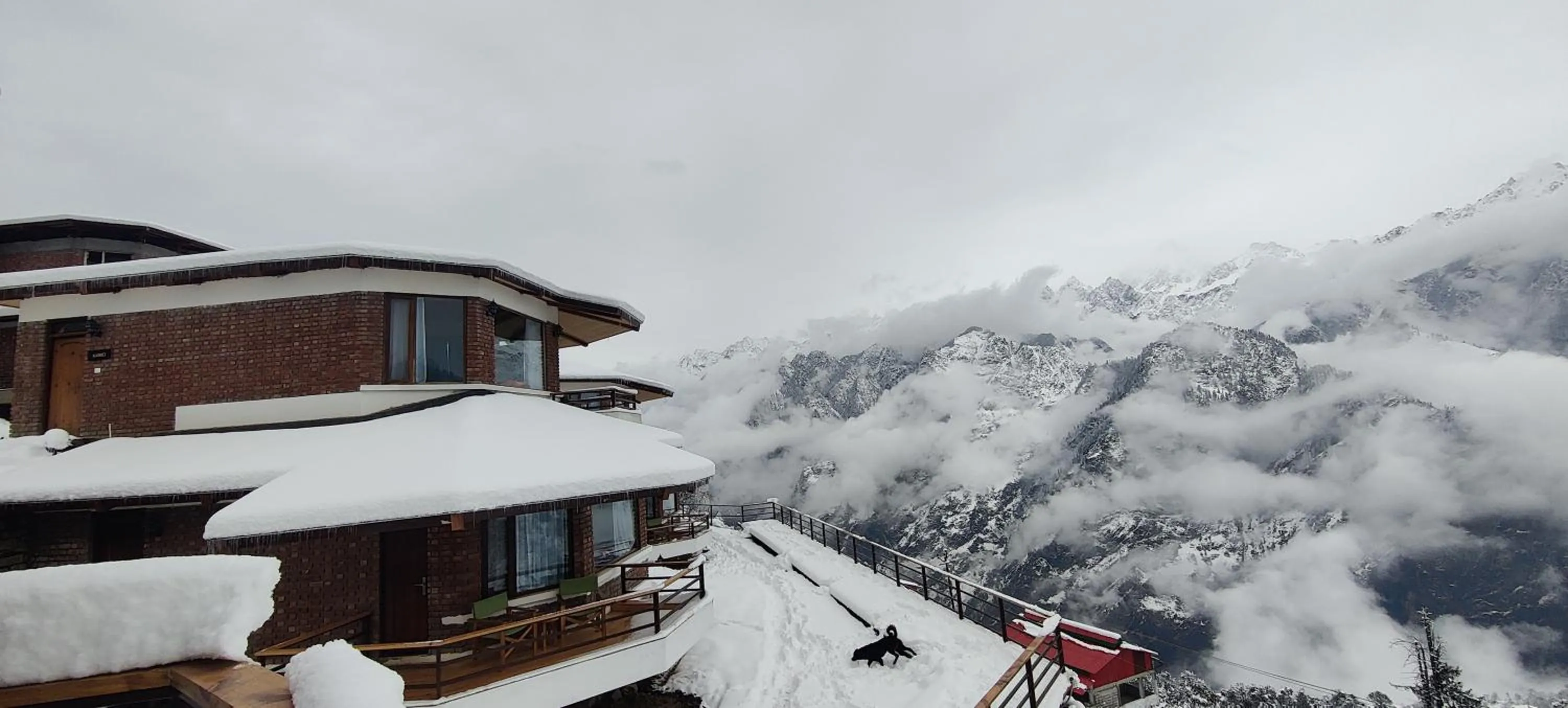 Winter in Casa Himalaya, Auli
