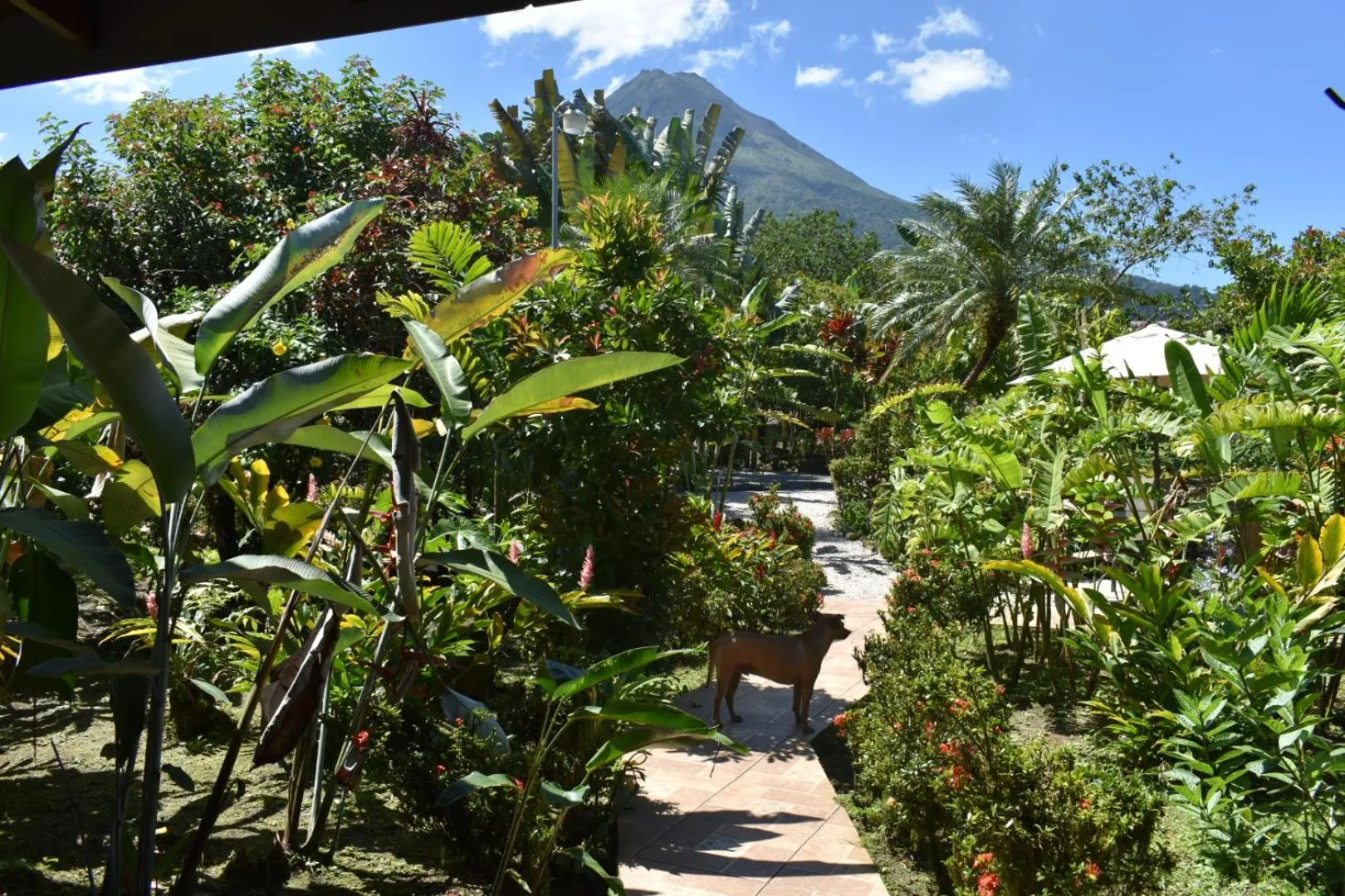 Standard Double Room in Hotel Roca Negra Del Arenal