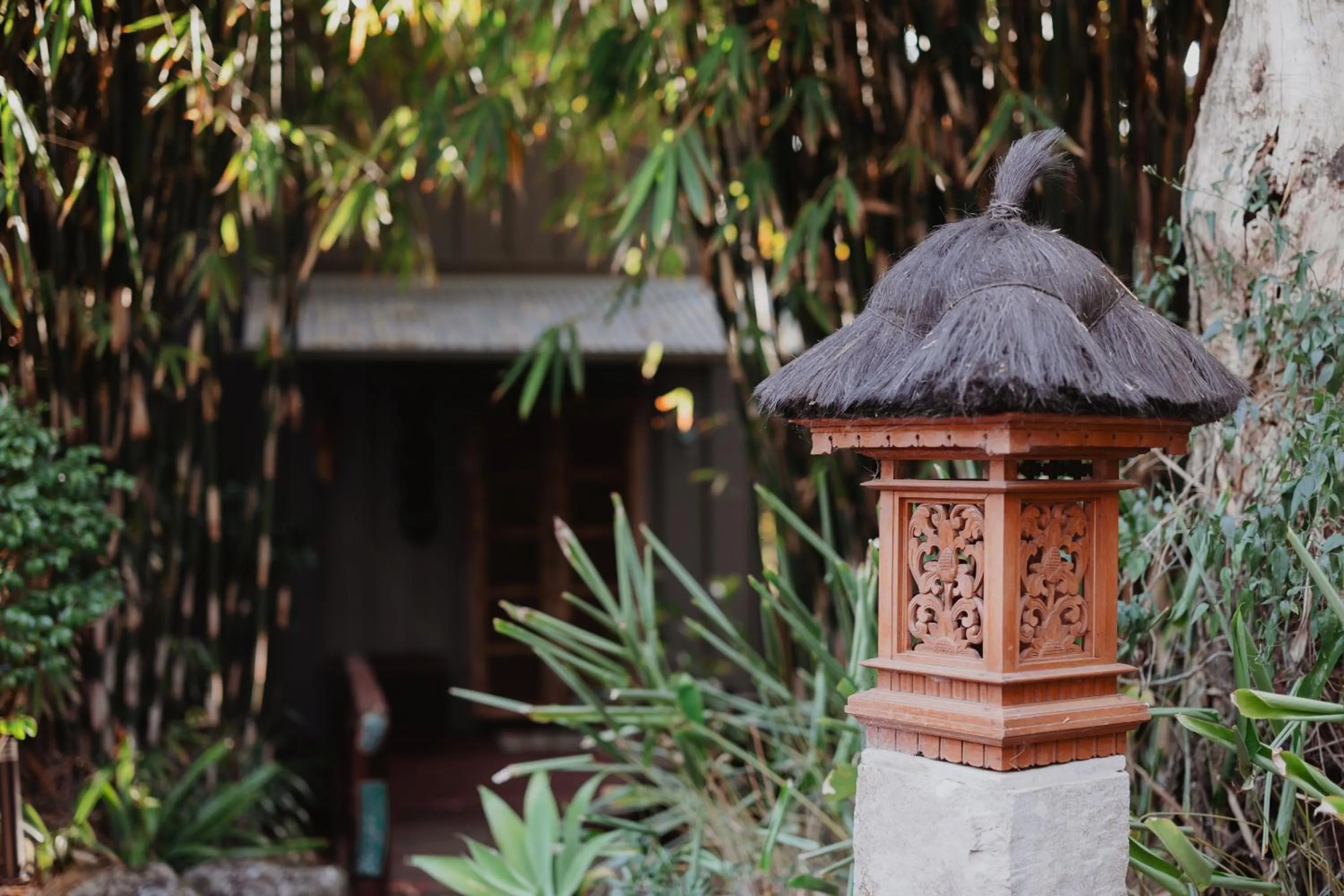 Garden view in Taman Sari Sunshine Coast Romantic Pet-Friendly Hinterland Retreat