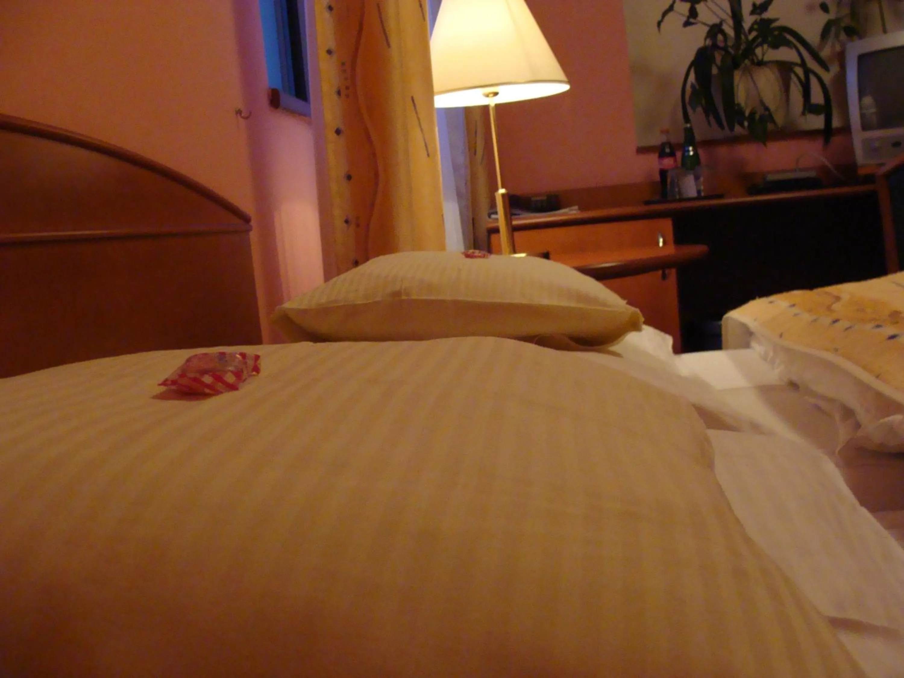 TV and multimedia, Bed in Wellness Hotel Anna Nejdek