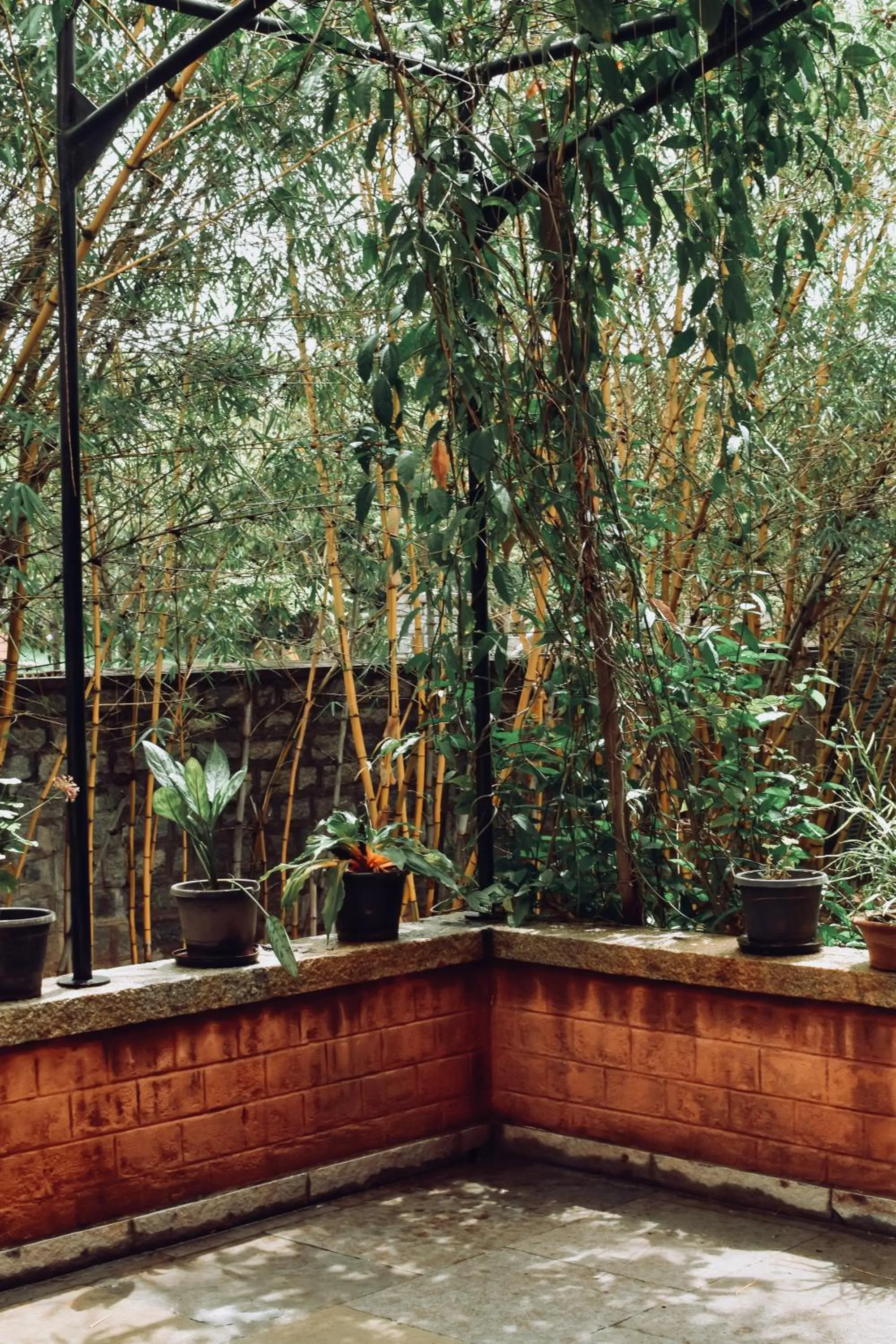 Garden view in Olde Bangalore Resort and Wellness Center