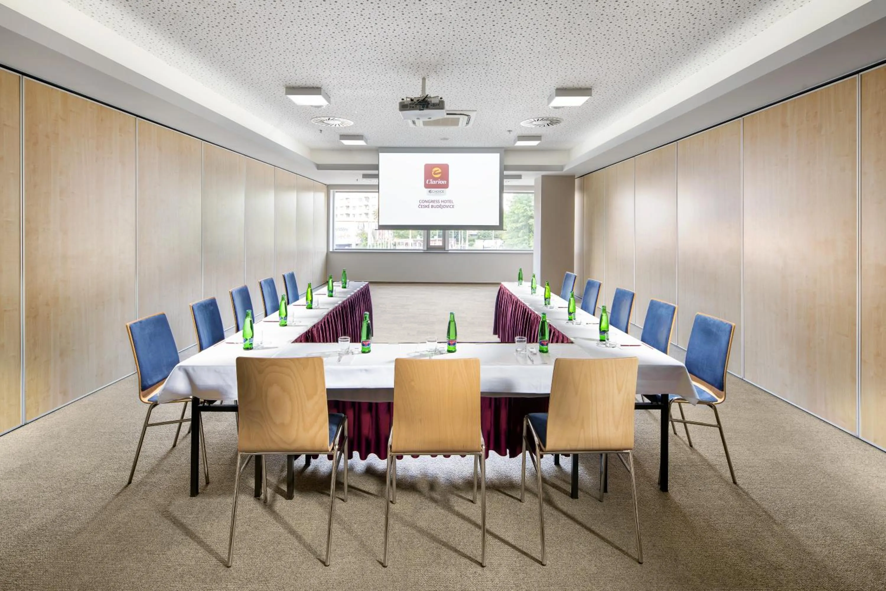Business facilities in Clarion Congress Hotel České Budějovice