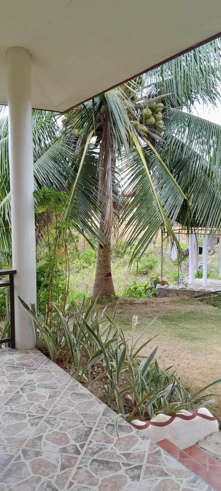 Bonita Oasis Beach Resort