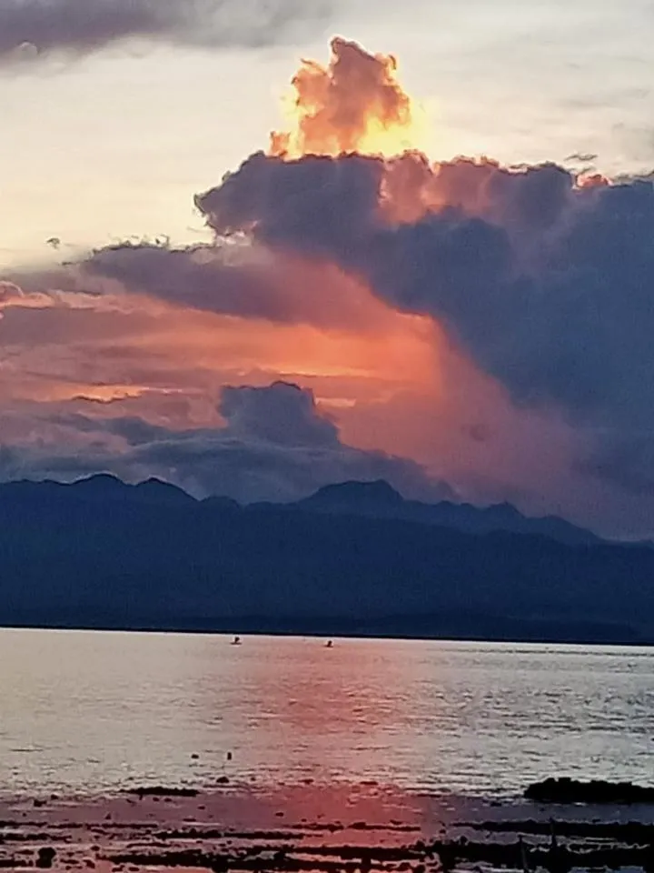 Bonita Oasis Beach Resort