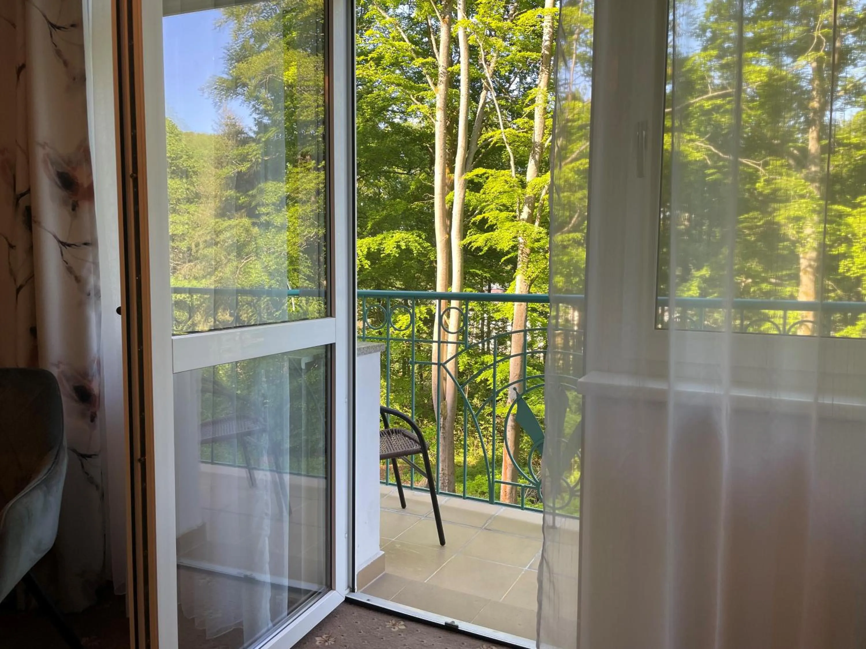 Balcony/Terrace in Spa & Wellness Hotel Silva