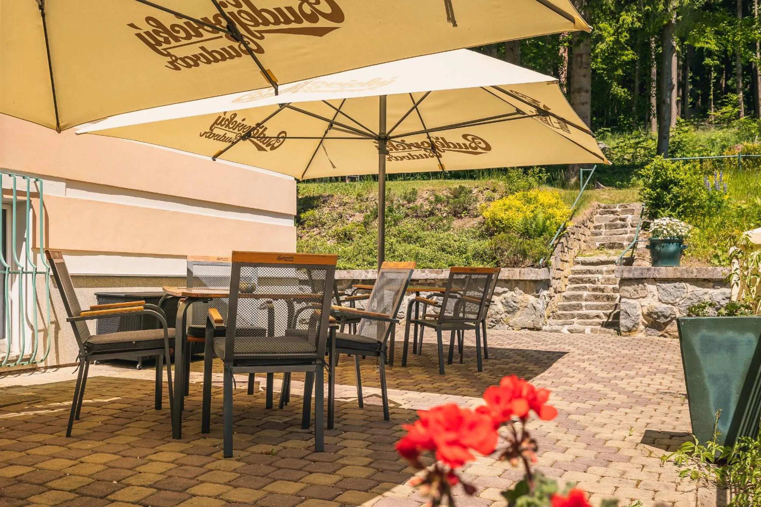 Balcony/Terrace in Spa & Wellness Hotel Silva