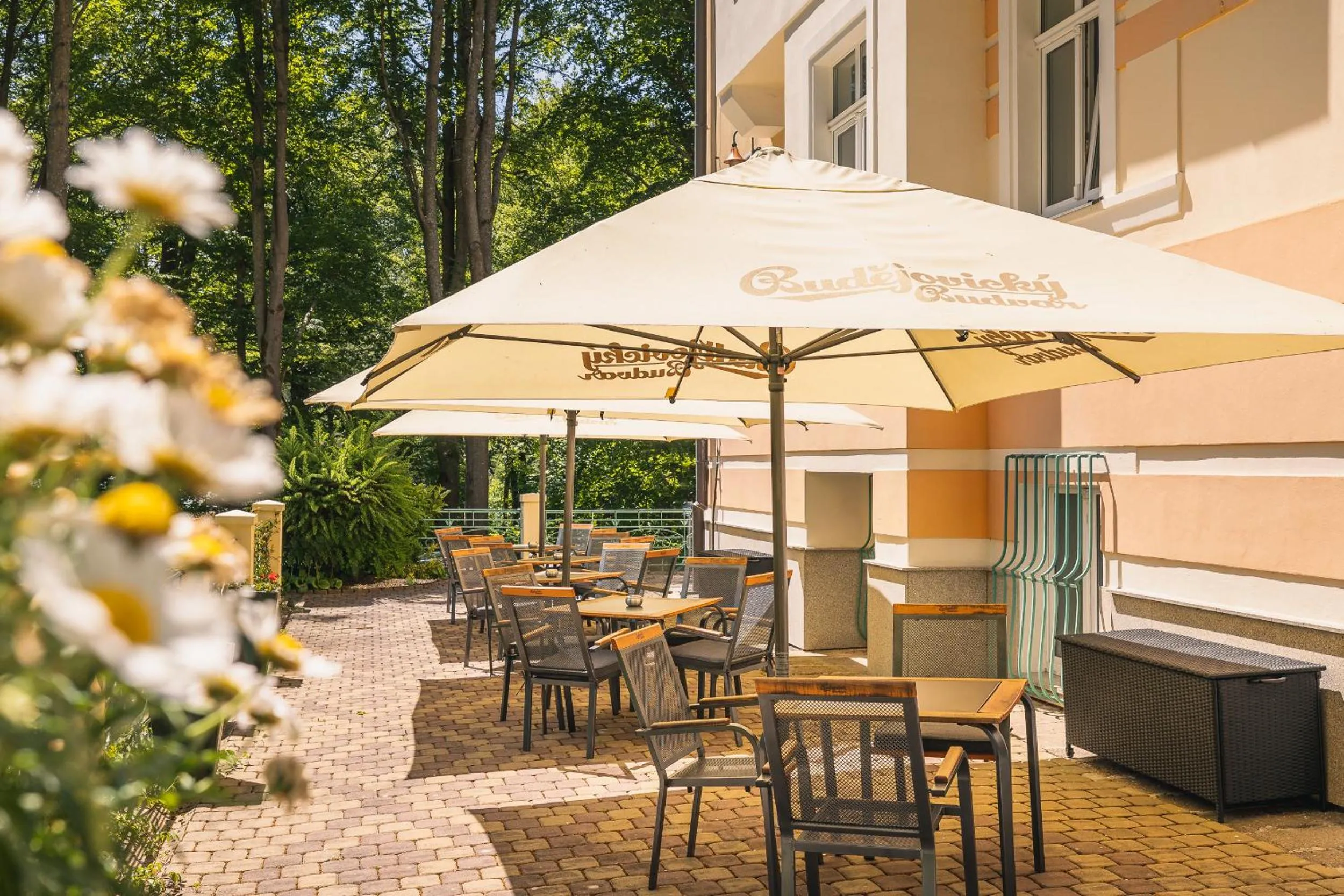 Balcony/Terrace in Spa & Wellness Hotel Silva