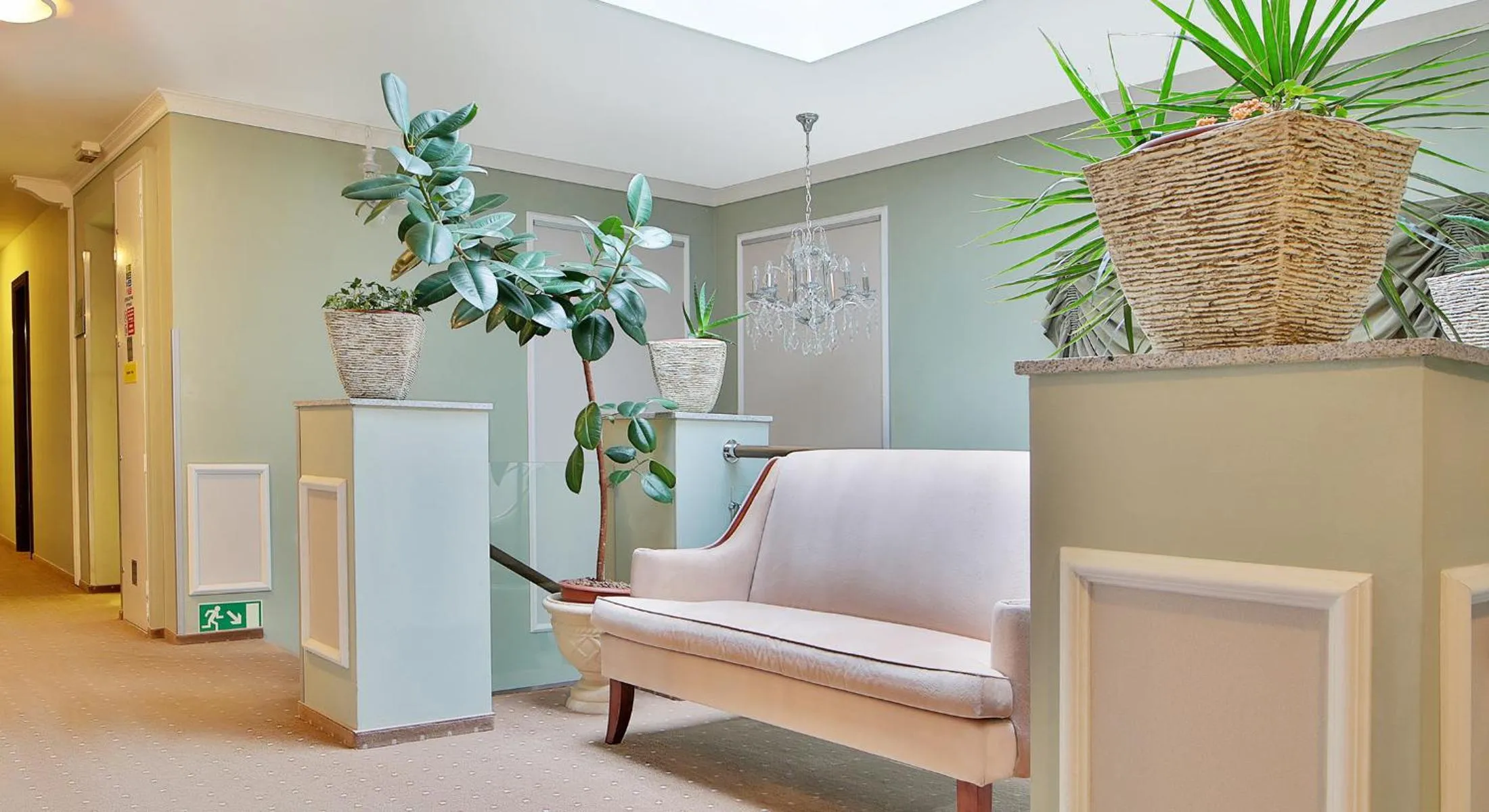 Area and facilities in Sun Palace Wellness Hotel