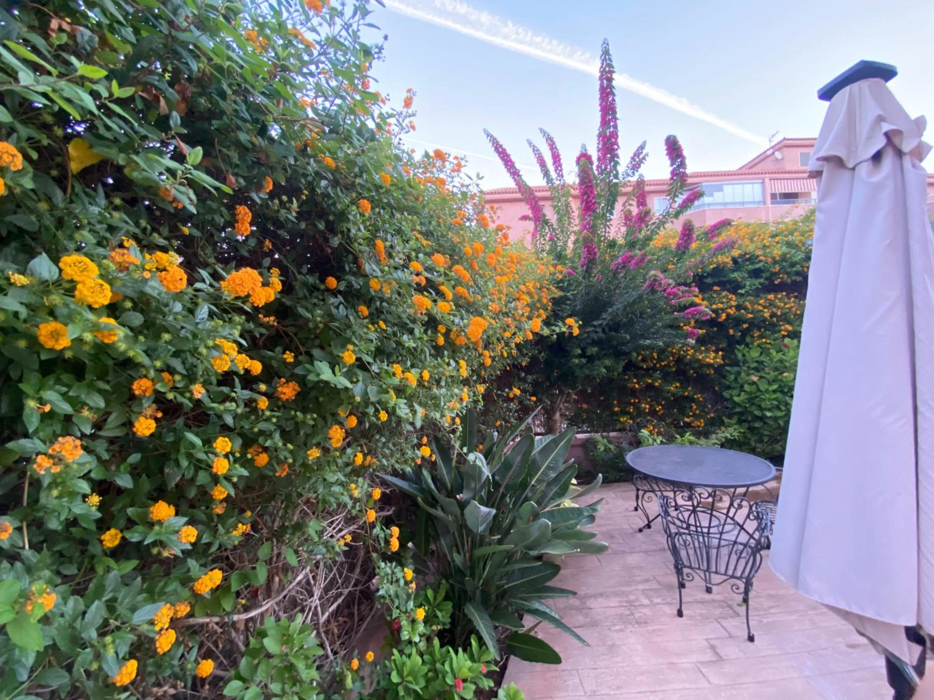 Apartamento jardin Sanlucar