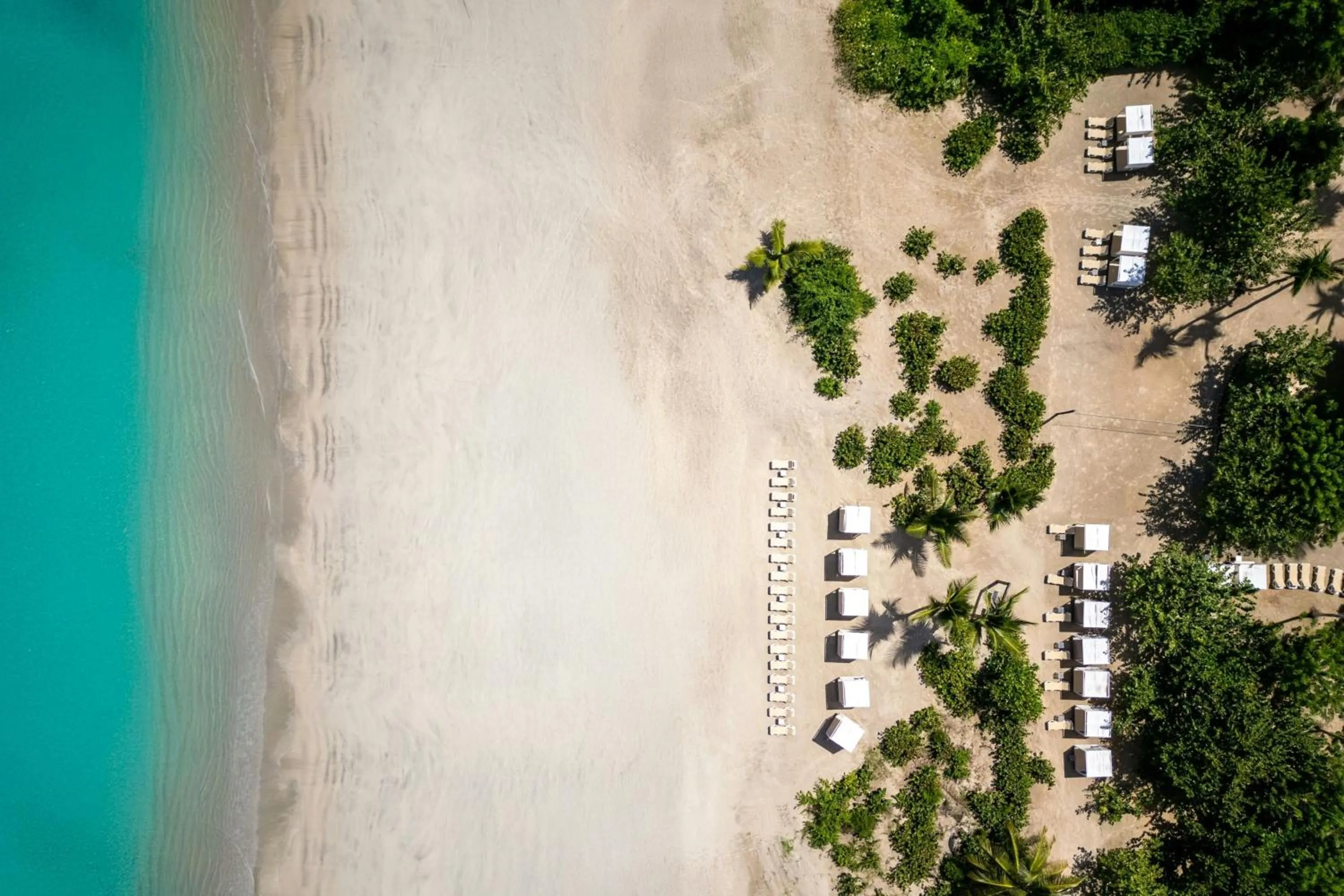 Beach in Temptation Grand Miches Resort - All Inclusive - Couples Only