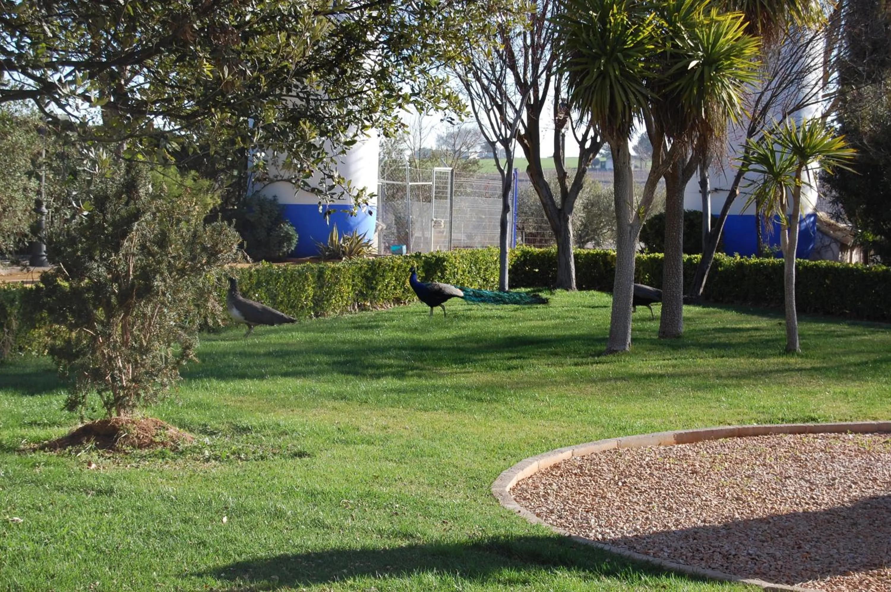 Children play ground in Hotel El Cortijo de Daimiel
