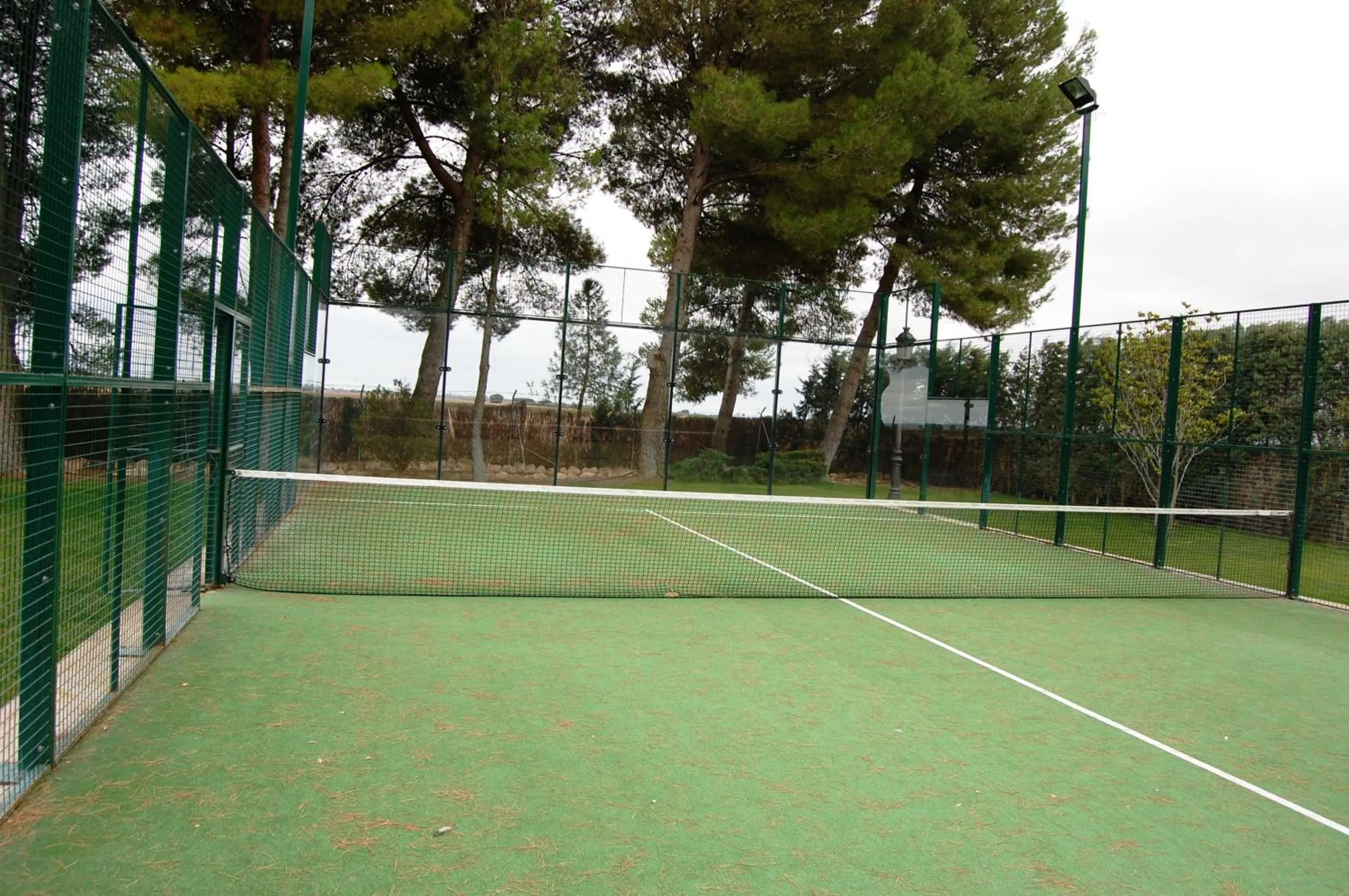 Other in Hotel El Cortijo de Daimiel