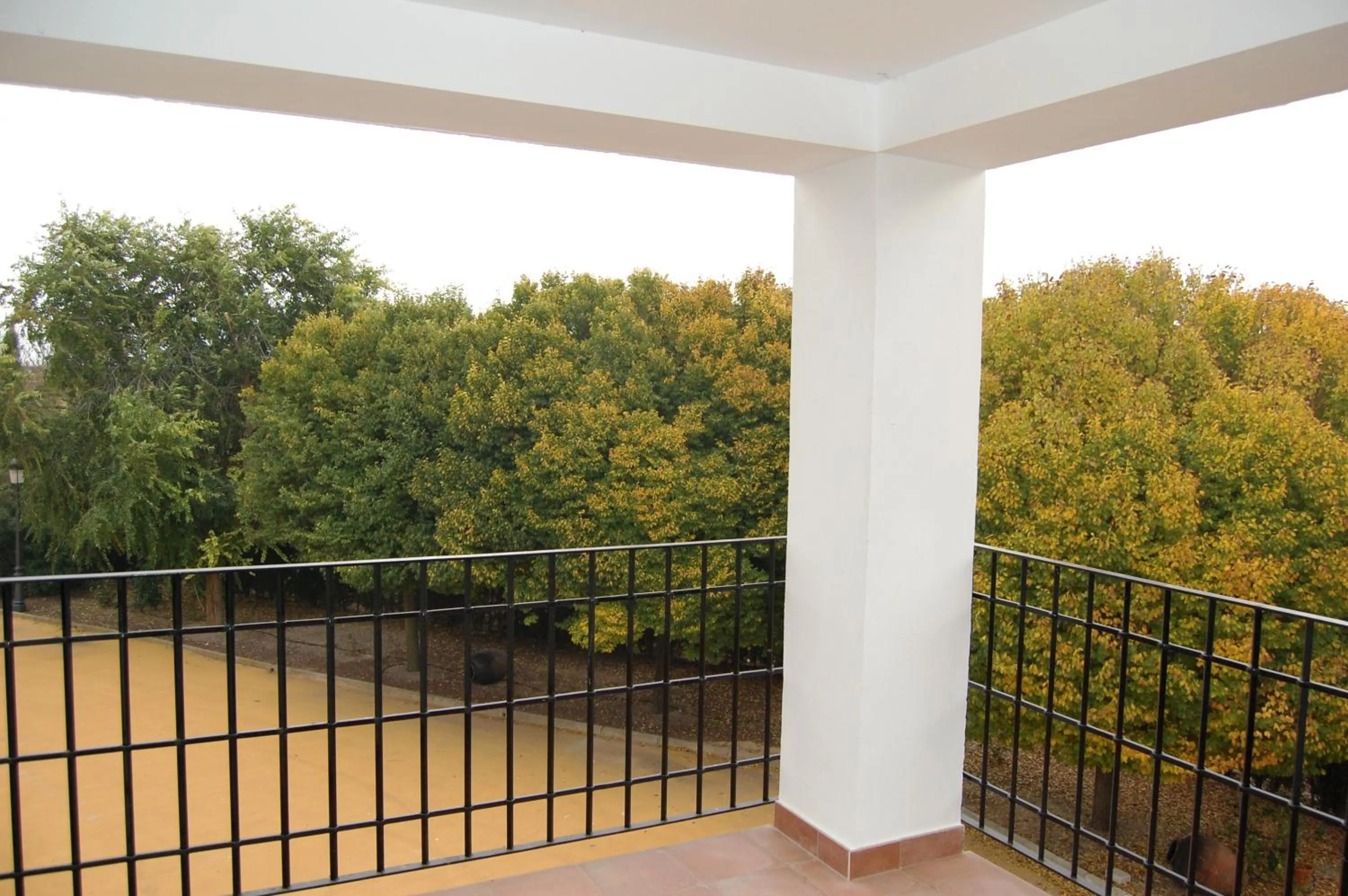 Balcony/Terrace in Hotel El Cortijo de Daimiel