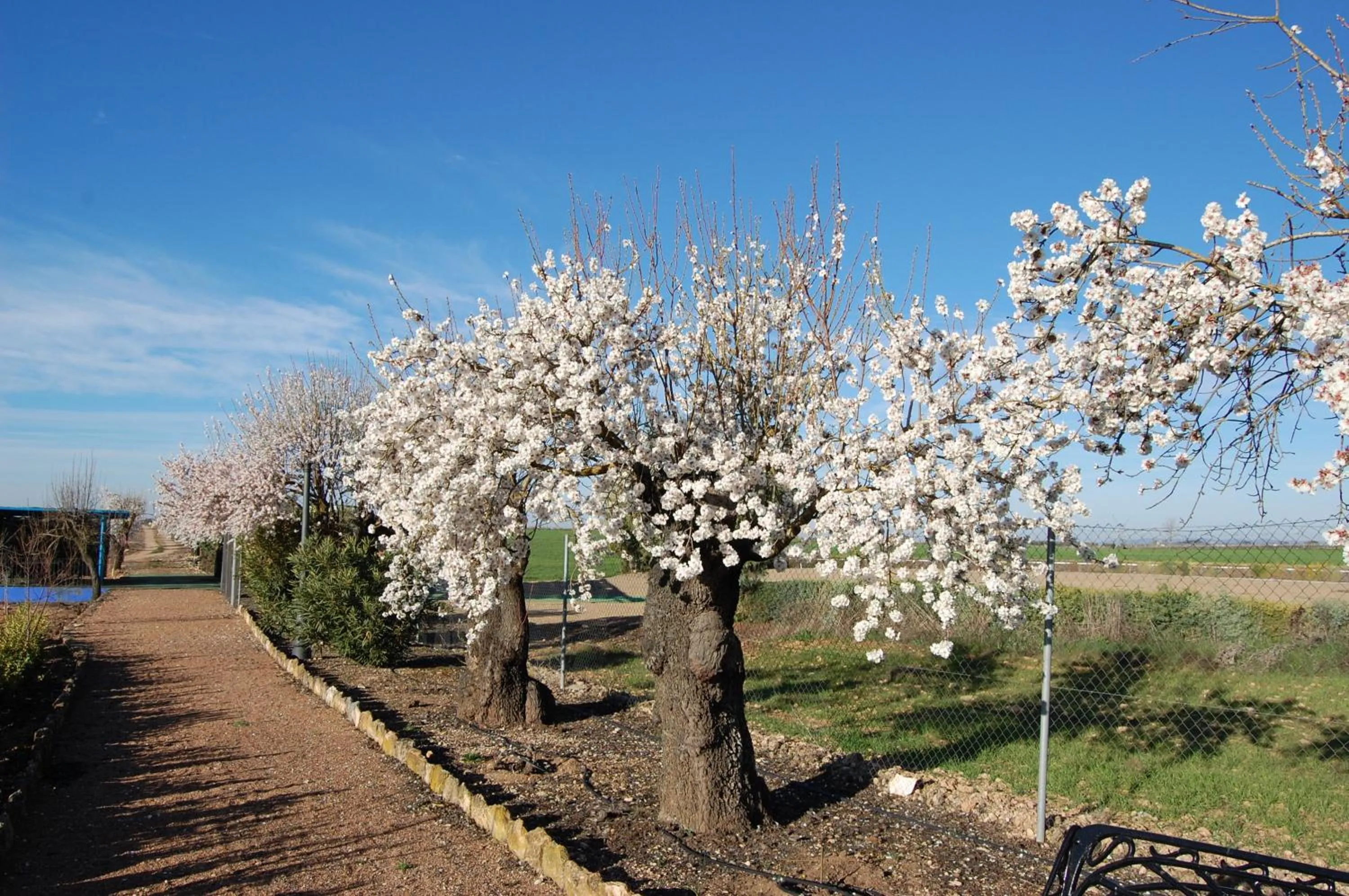 Area and facilities in Hotel El Cortijo de Daimiel