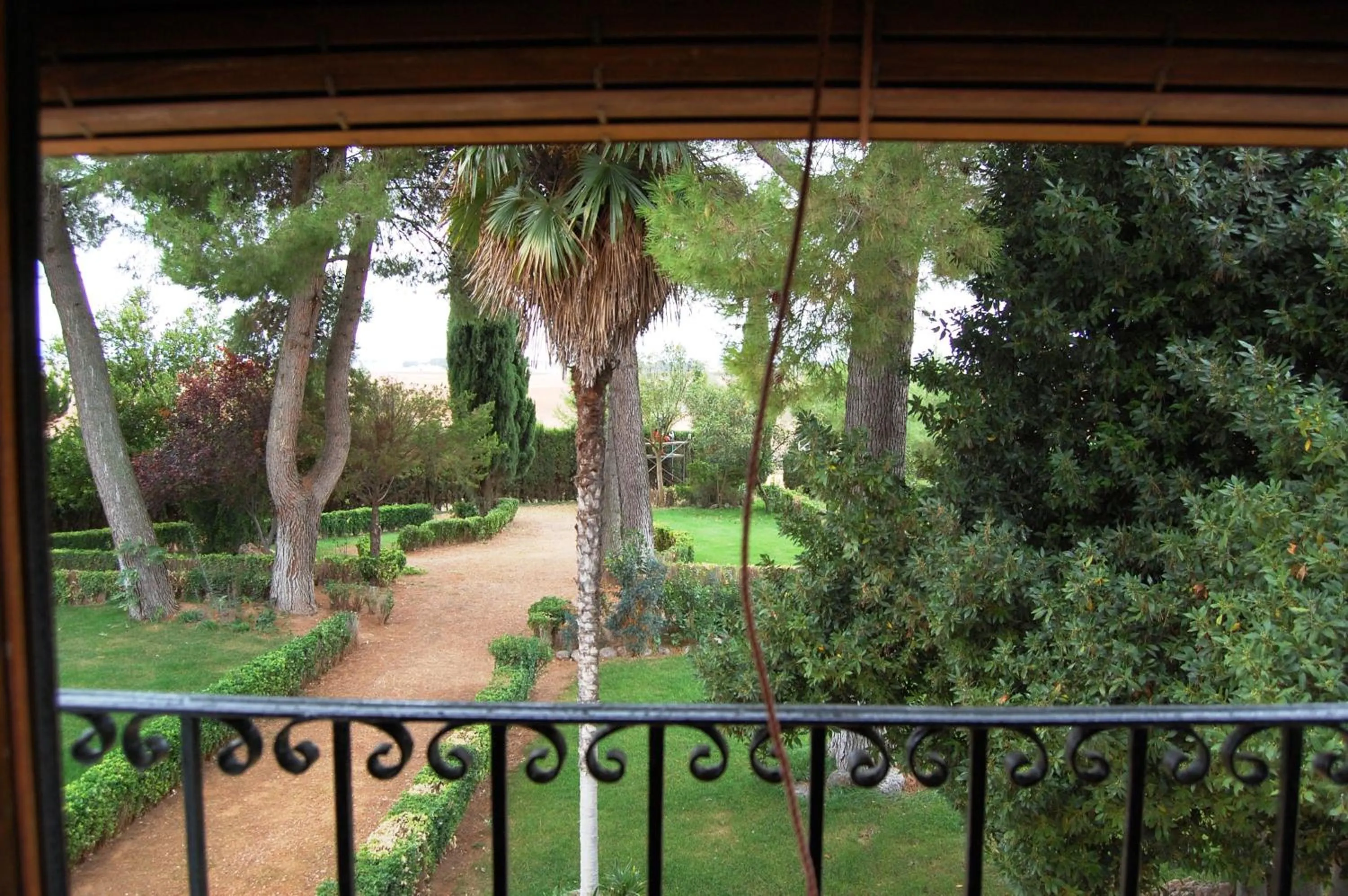 Balcony/Terrace in Hotel El Cortijo de Daimiel
