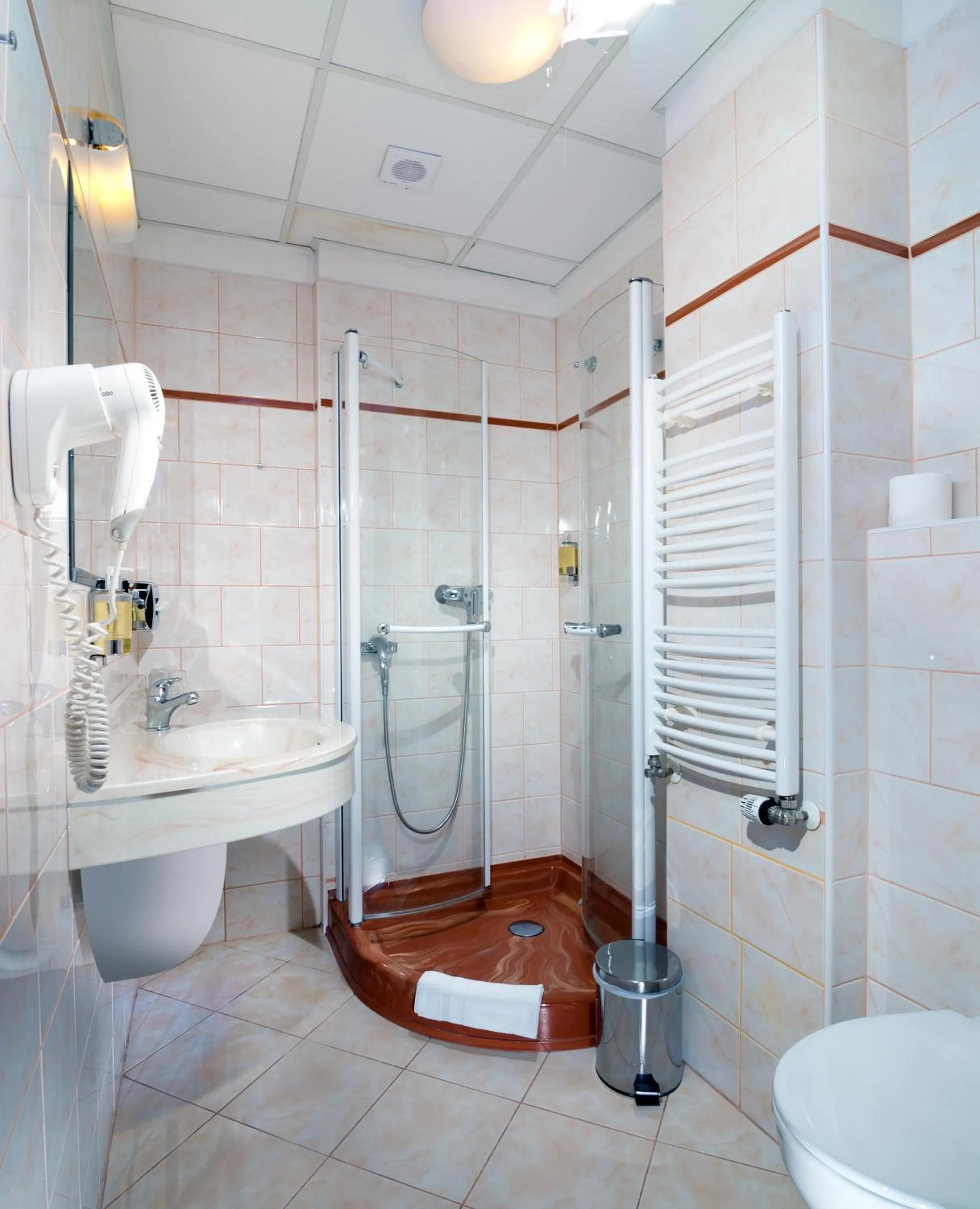 Bathroom in Hotel Ruze