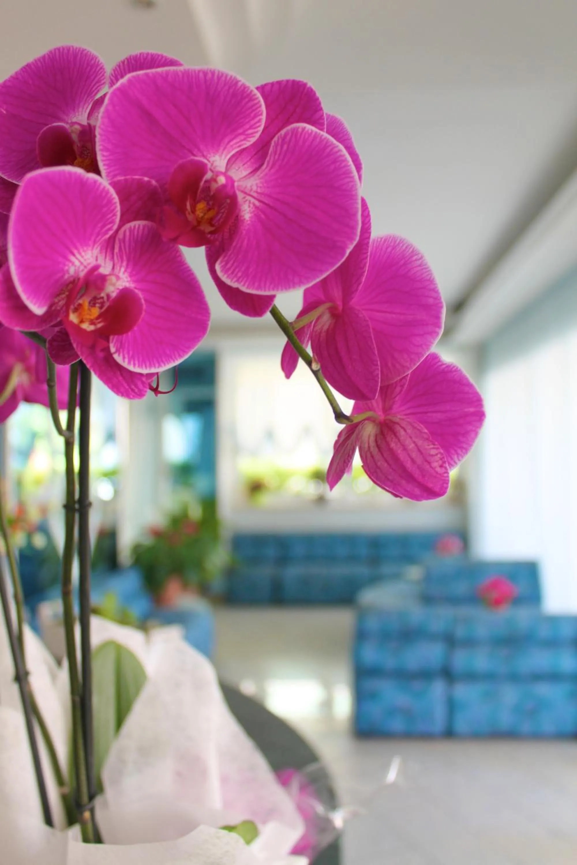 Other in Hotel San Paolo