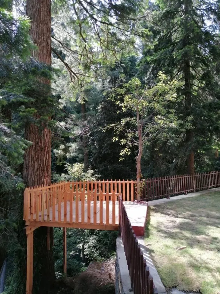 Balcony/Terrace in Richmond Boutique Hotel