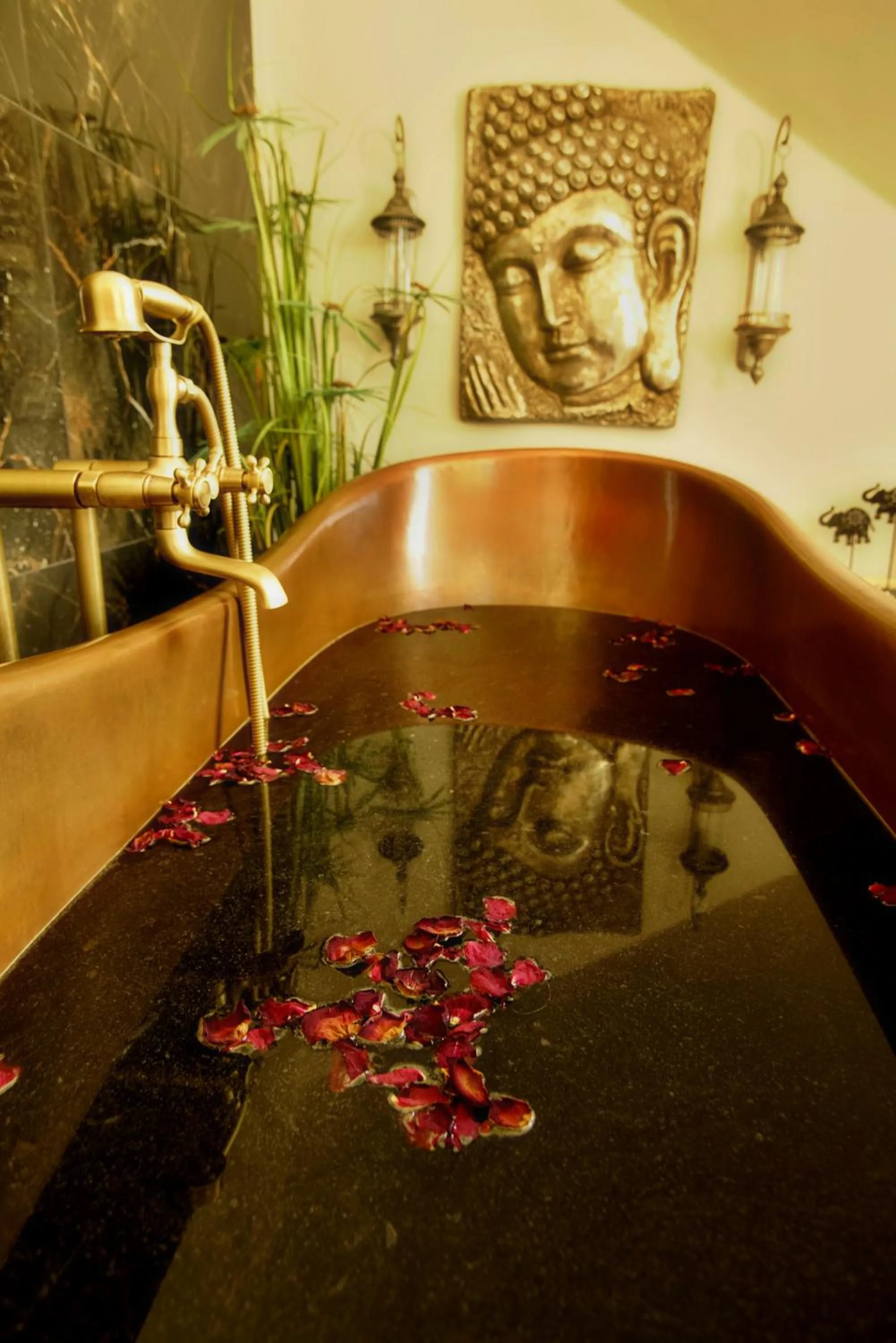 Spa and wellness centre/facilities in Hotel Bohemia