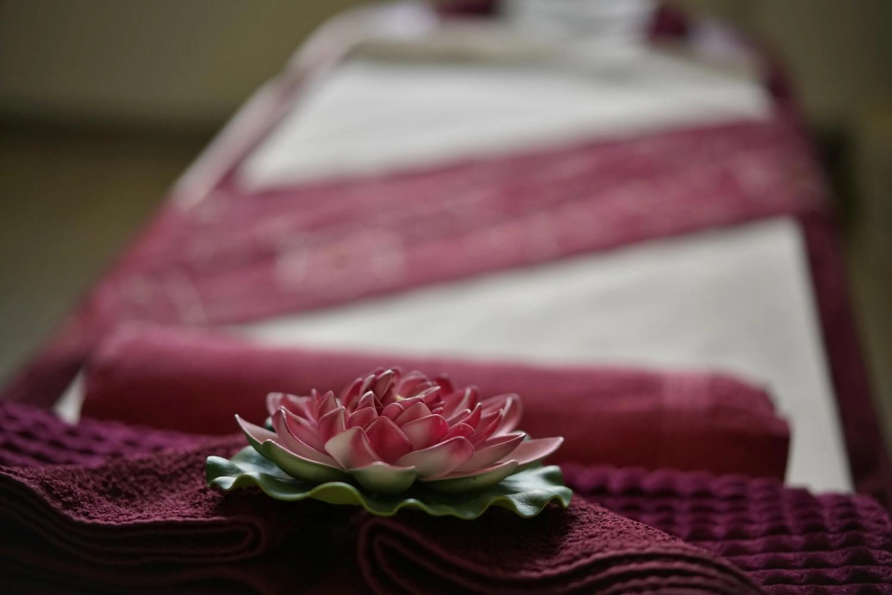 Spa and wellness centre/facilities, Bed in Hotel Bohemia