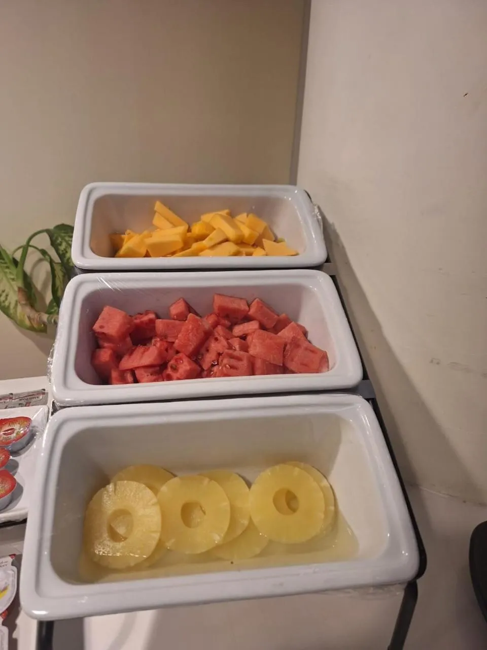 Al Farhan Hotel Qurtuba