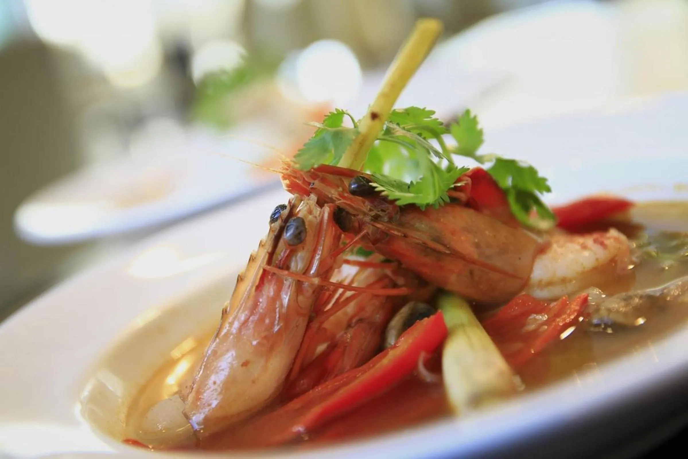 Food close-up in Mars City Hotel