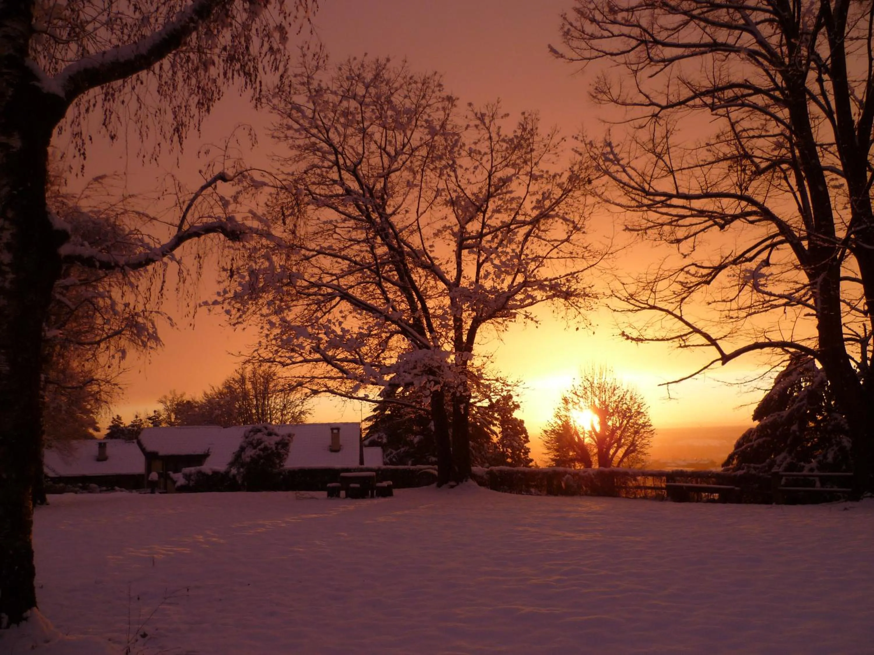 Garden view in Il Colombé B&B