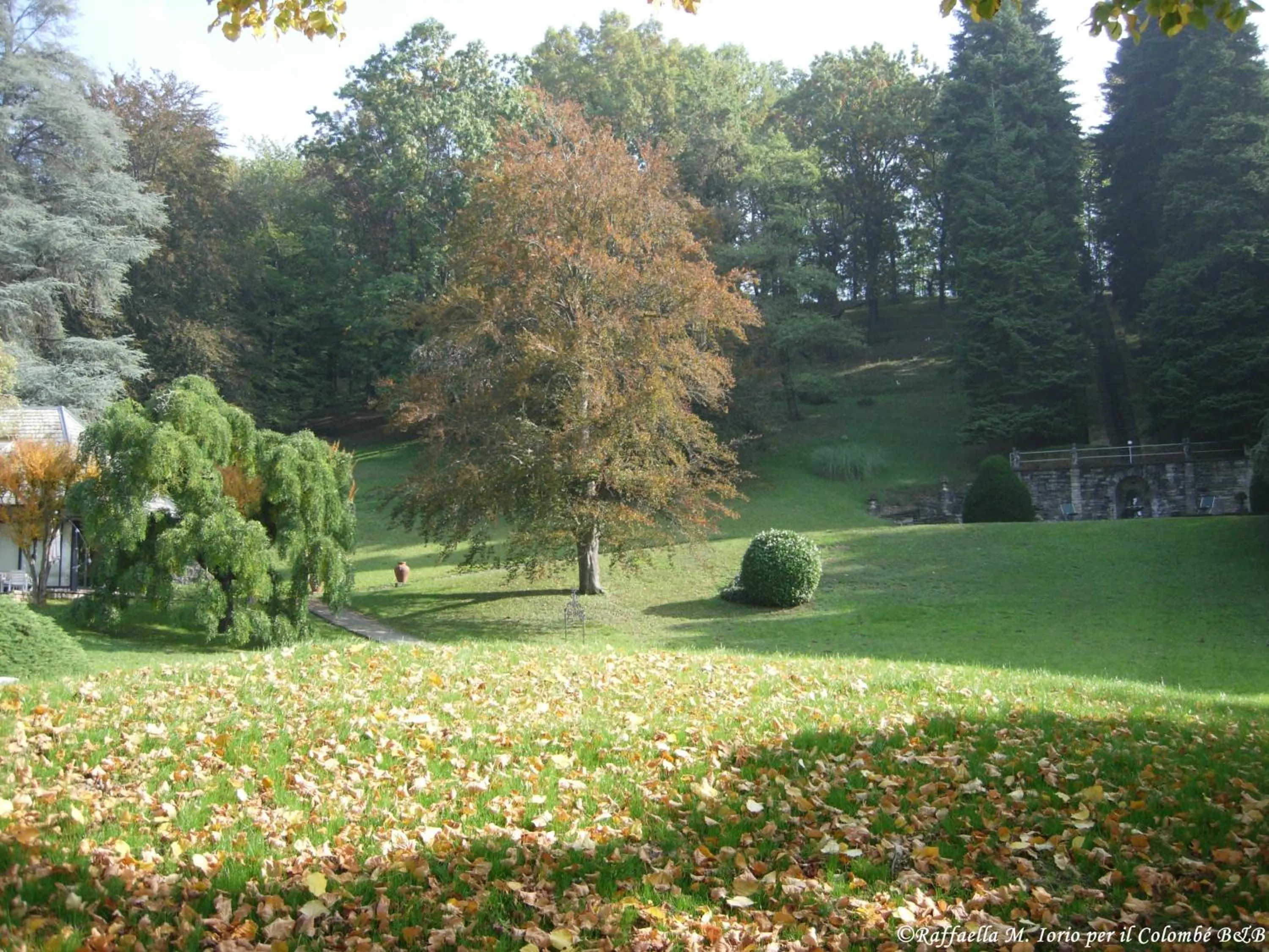 Garden view in Il Colombé B&B
