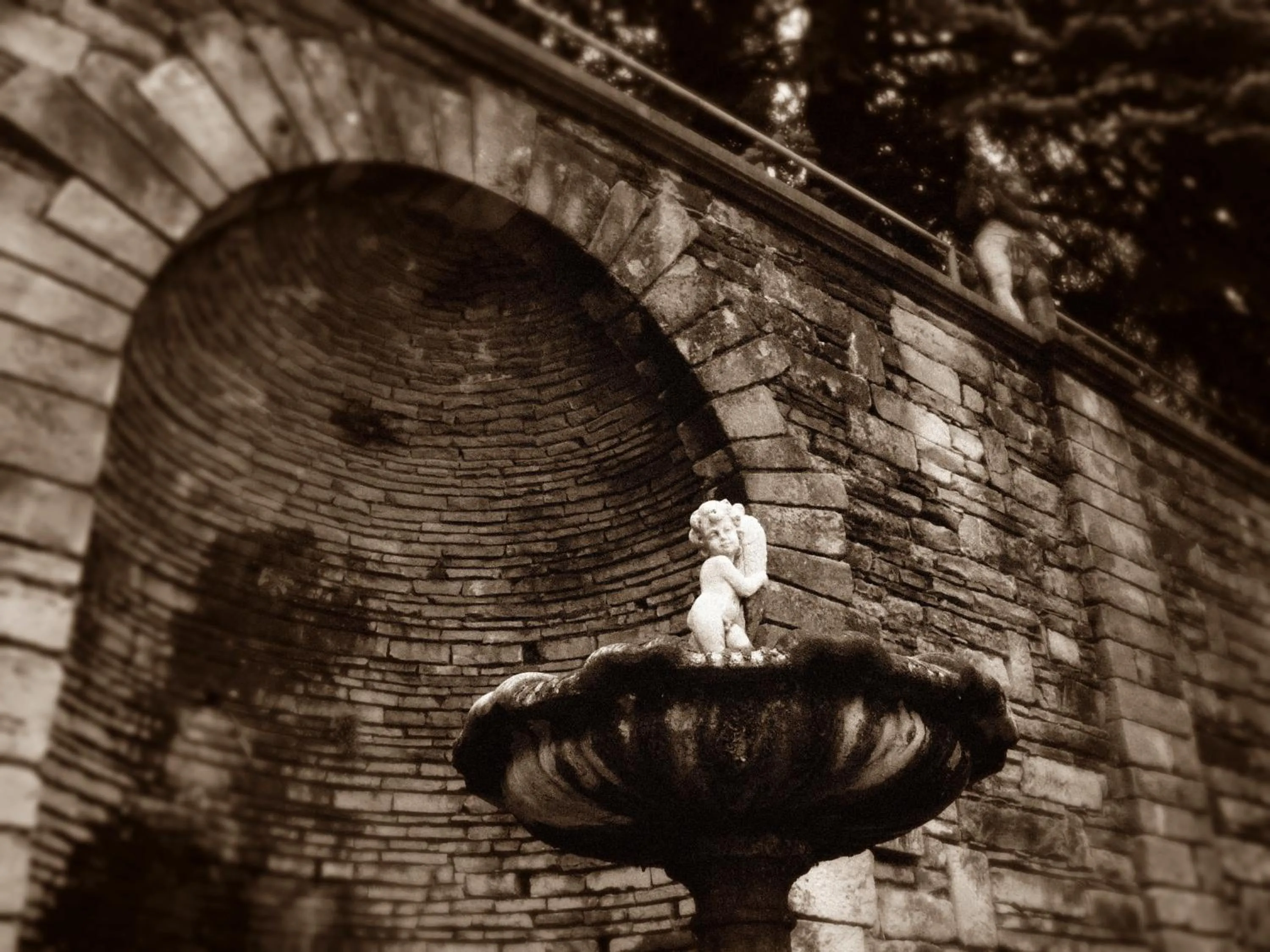 Garden view in Il Colombé B&B