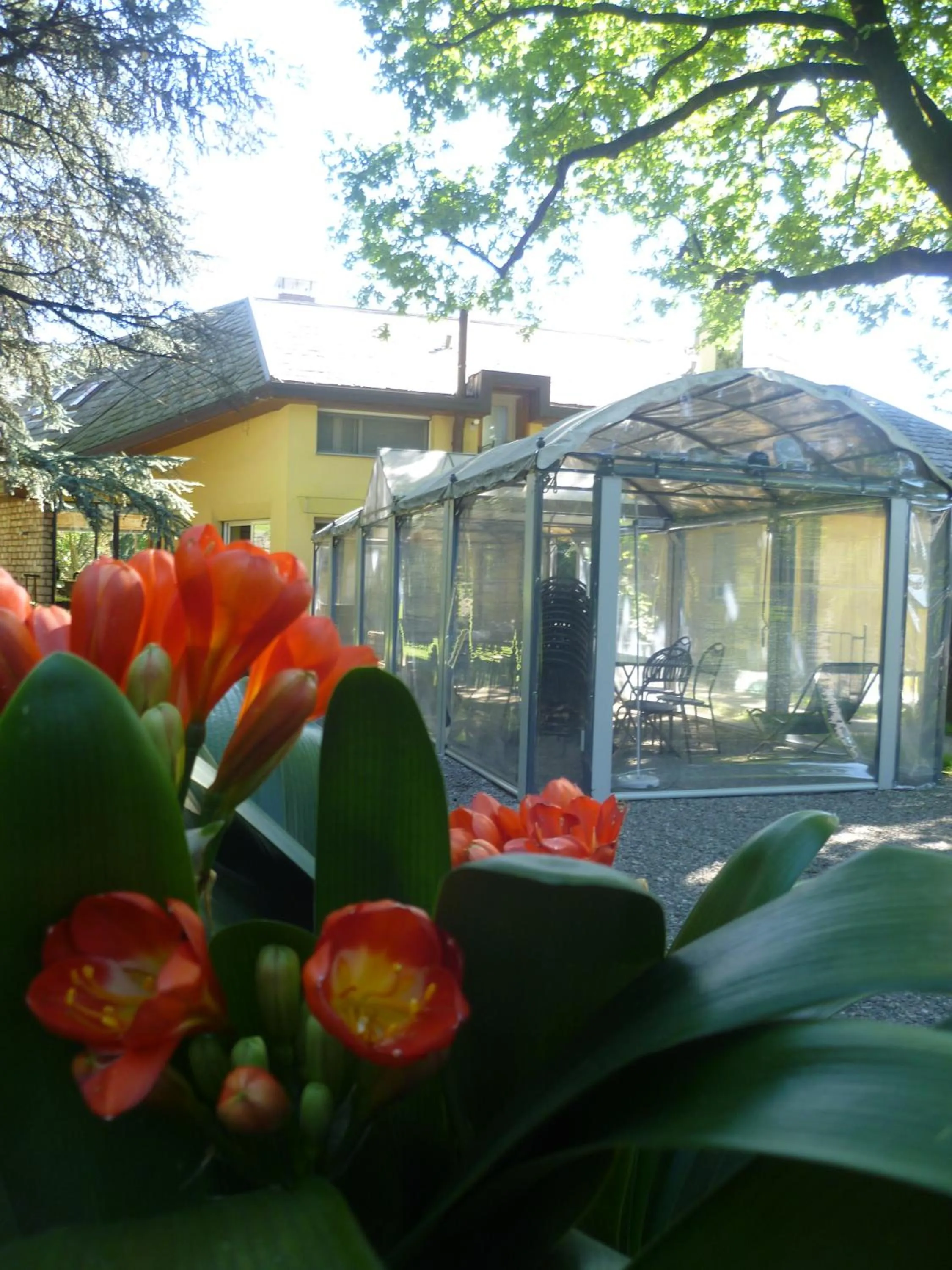 Decorative detail in Il Colombé B&B