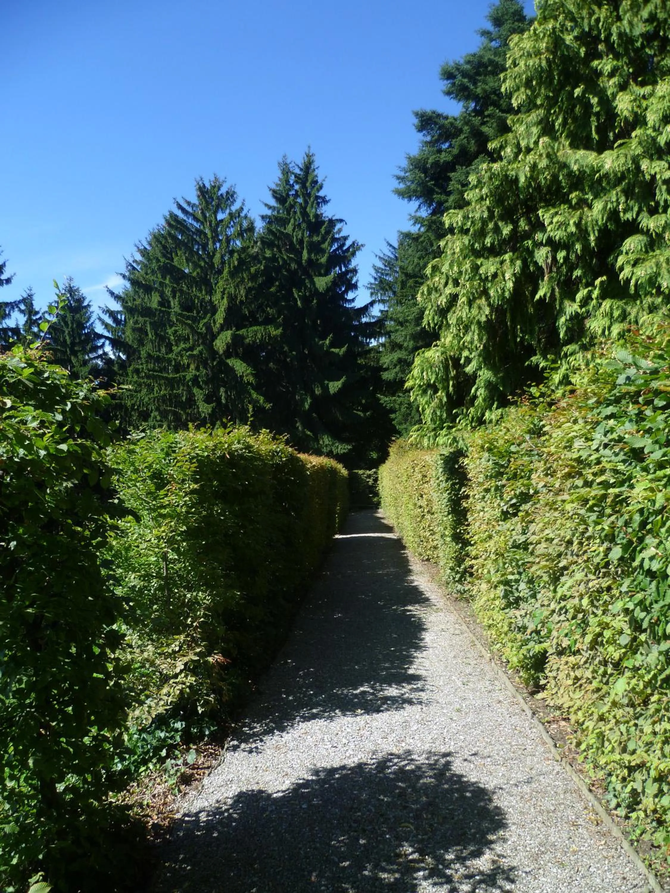 Garden in Il Colombé B&B