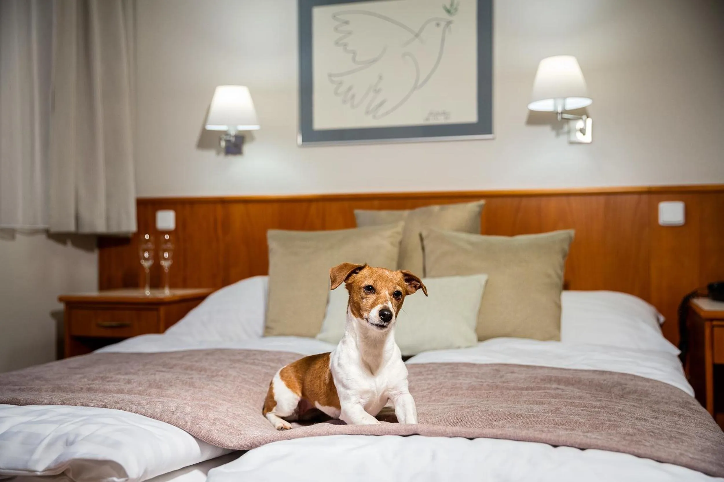 Decorative detail, Bed in Hotel Sněžka