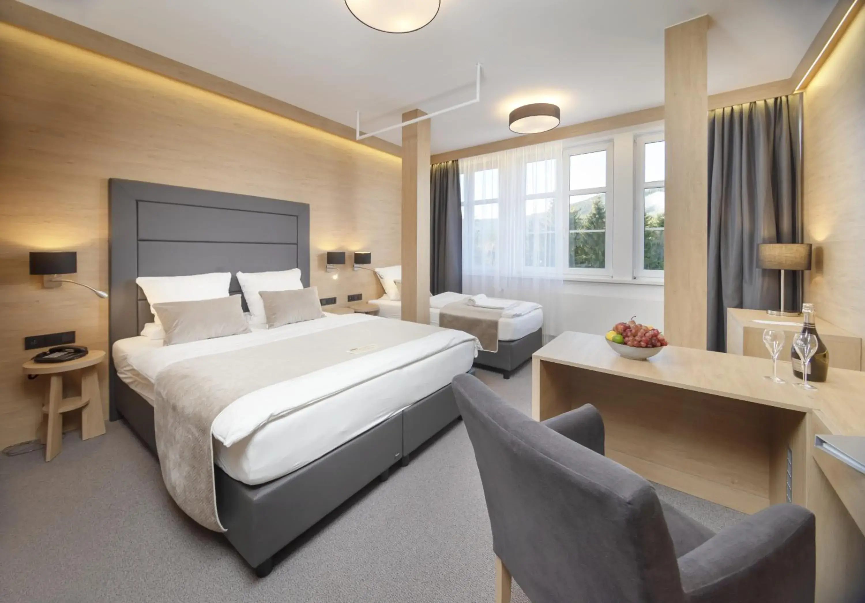 Hotel Sněžka Hotel Sněžka