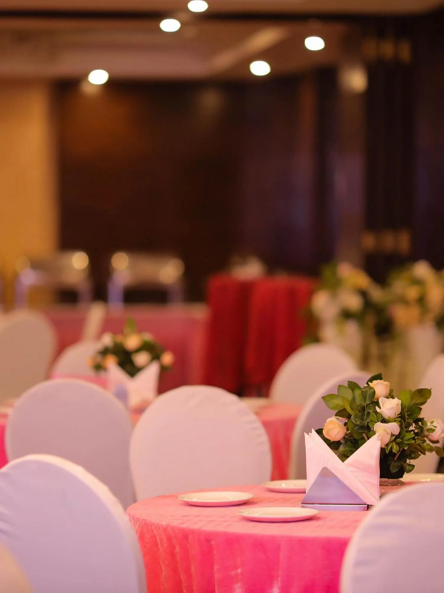 Banquet/Function facilities in Hotel DS Clarks Inn Gurgaon