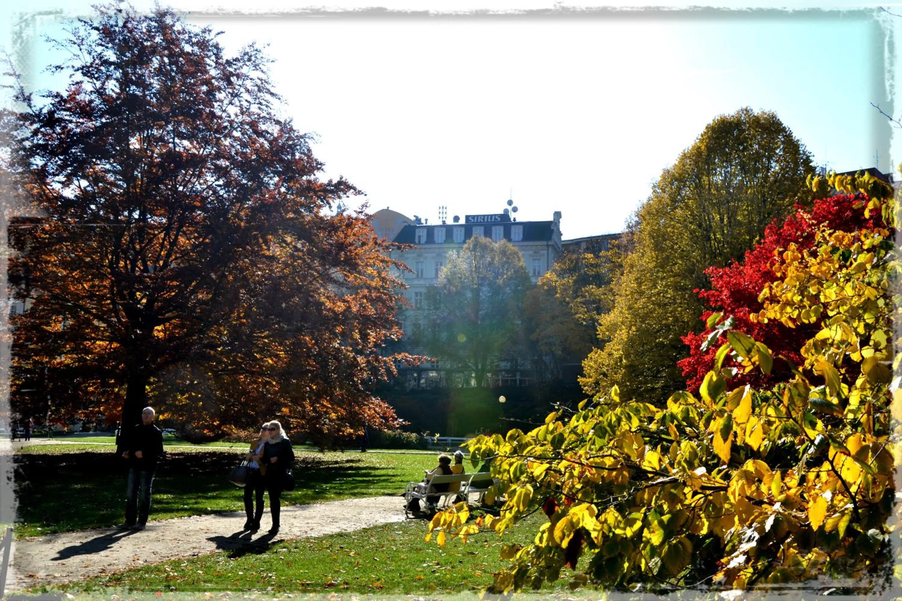 Garden in Hotel Sirius