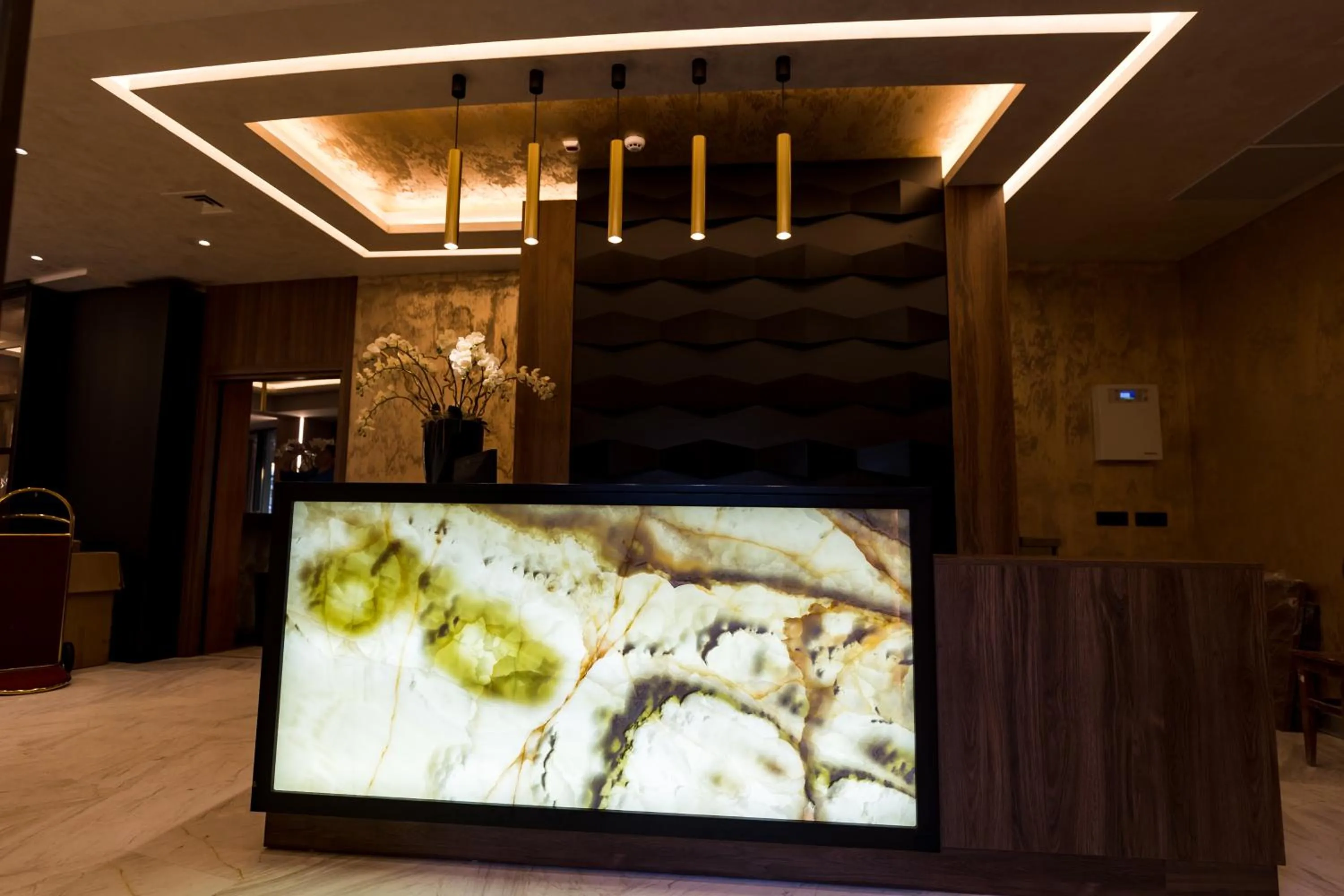 Lobby or reception in Hotel Stein Collection